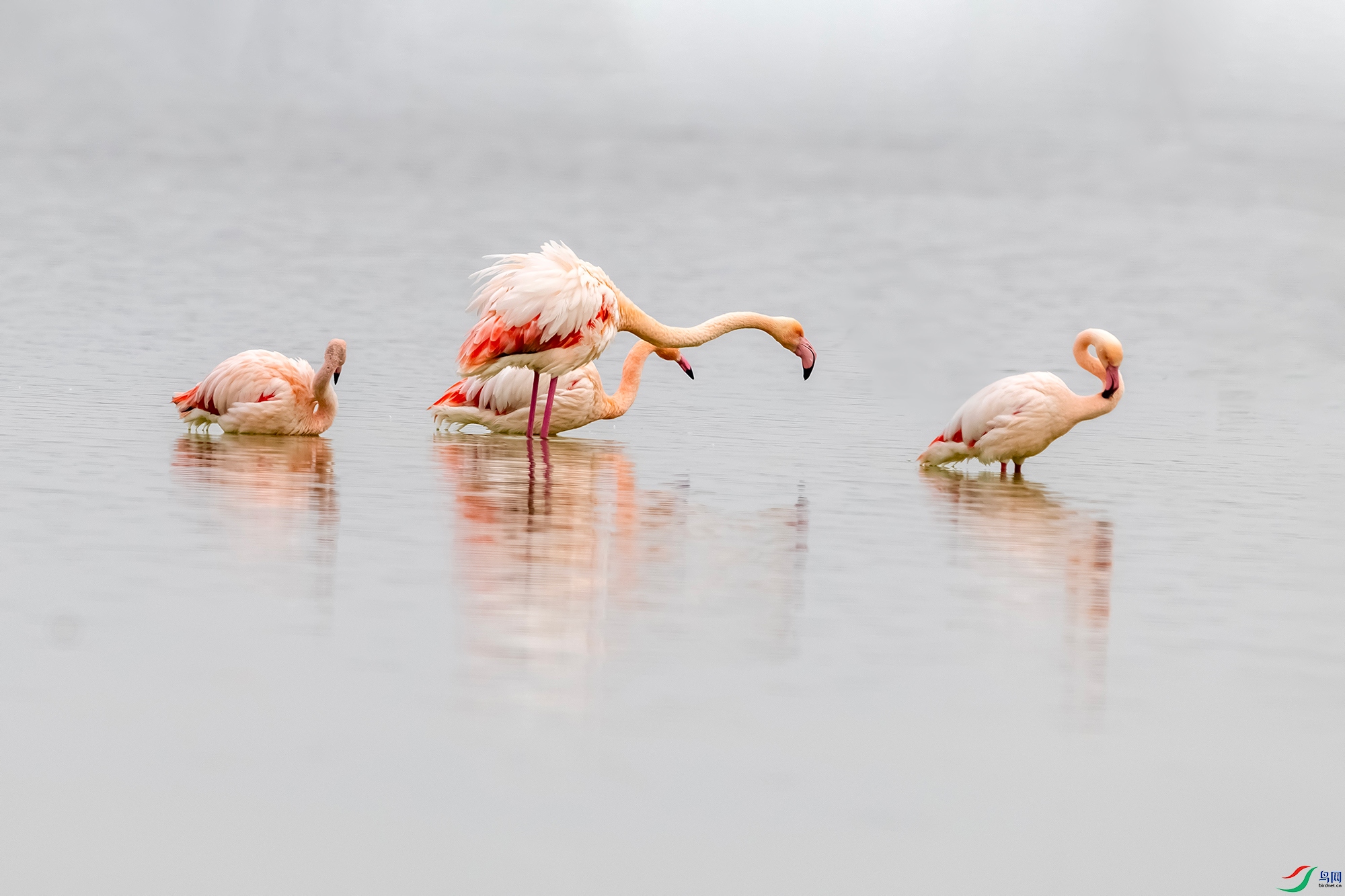 IMG_2167 ����.jpg