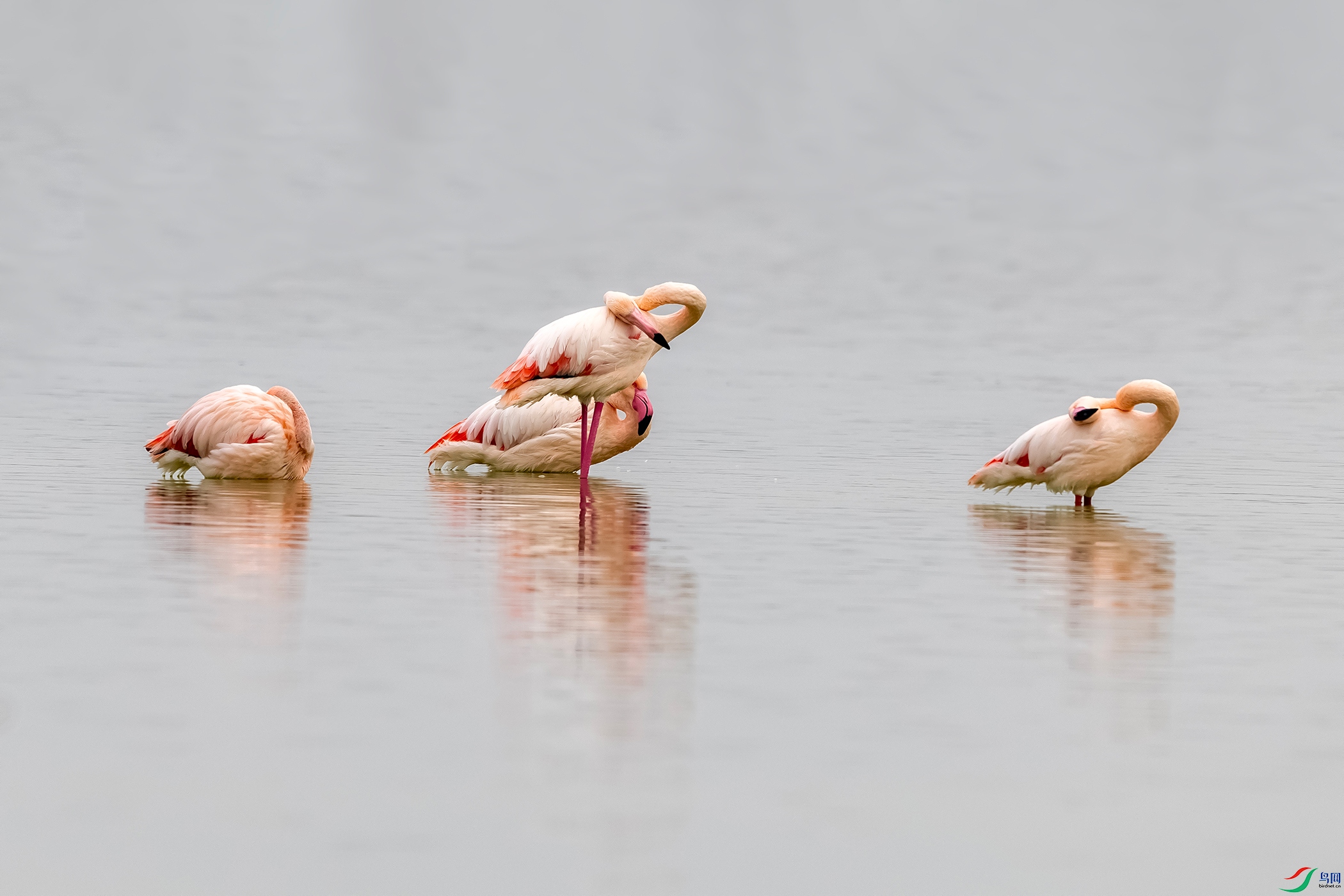 IMG_2198 ����.jpg