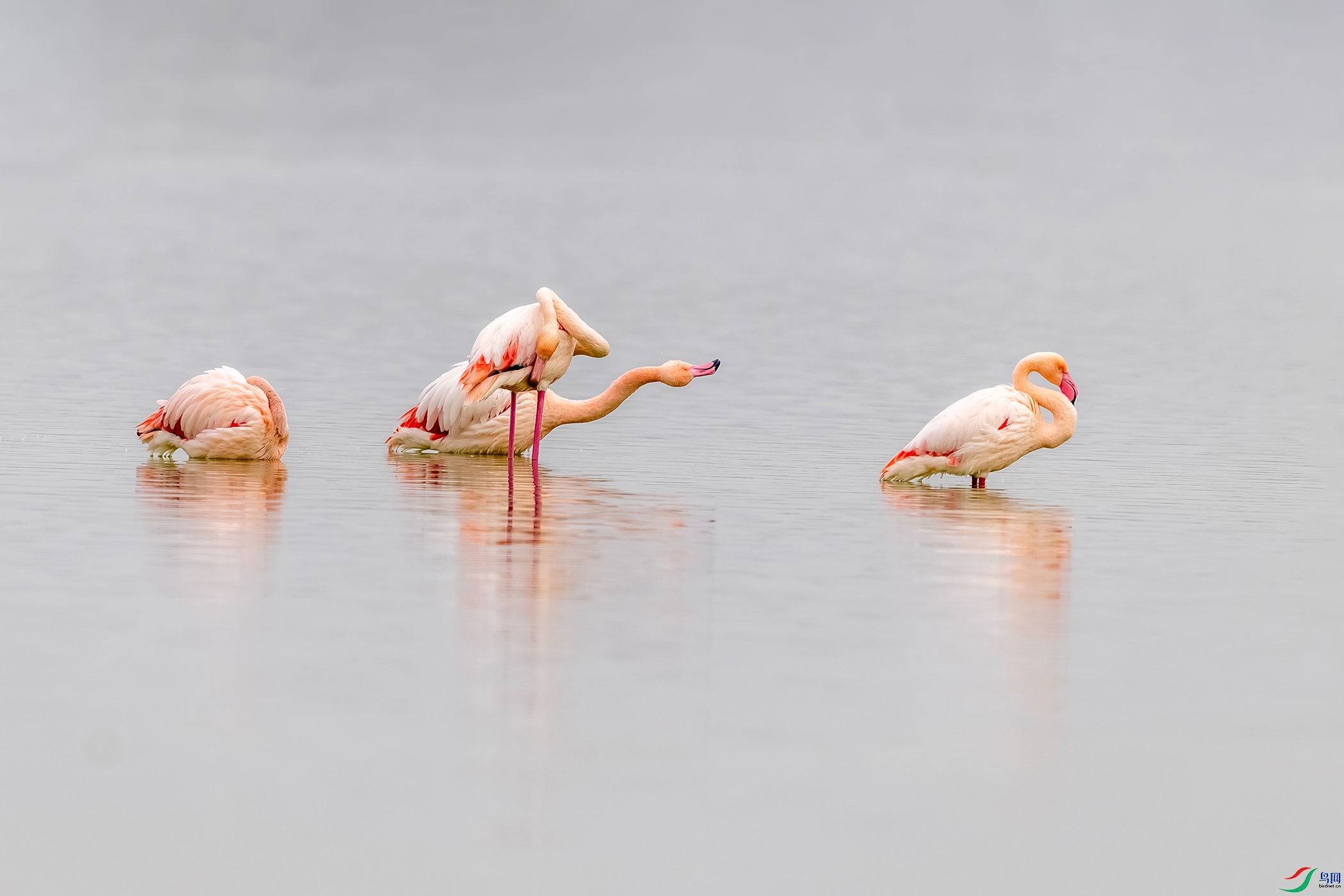 IMG_2116 ����.jpg