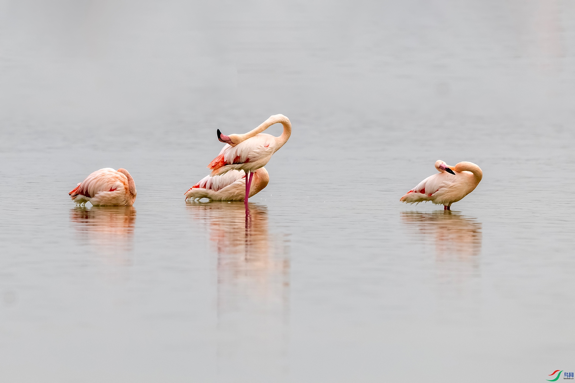 IMG_2205 ����.jpg