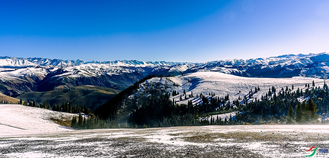 _DSC2957.jpg