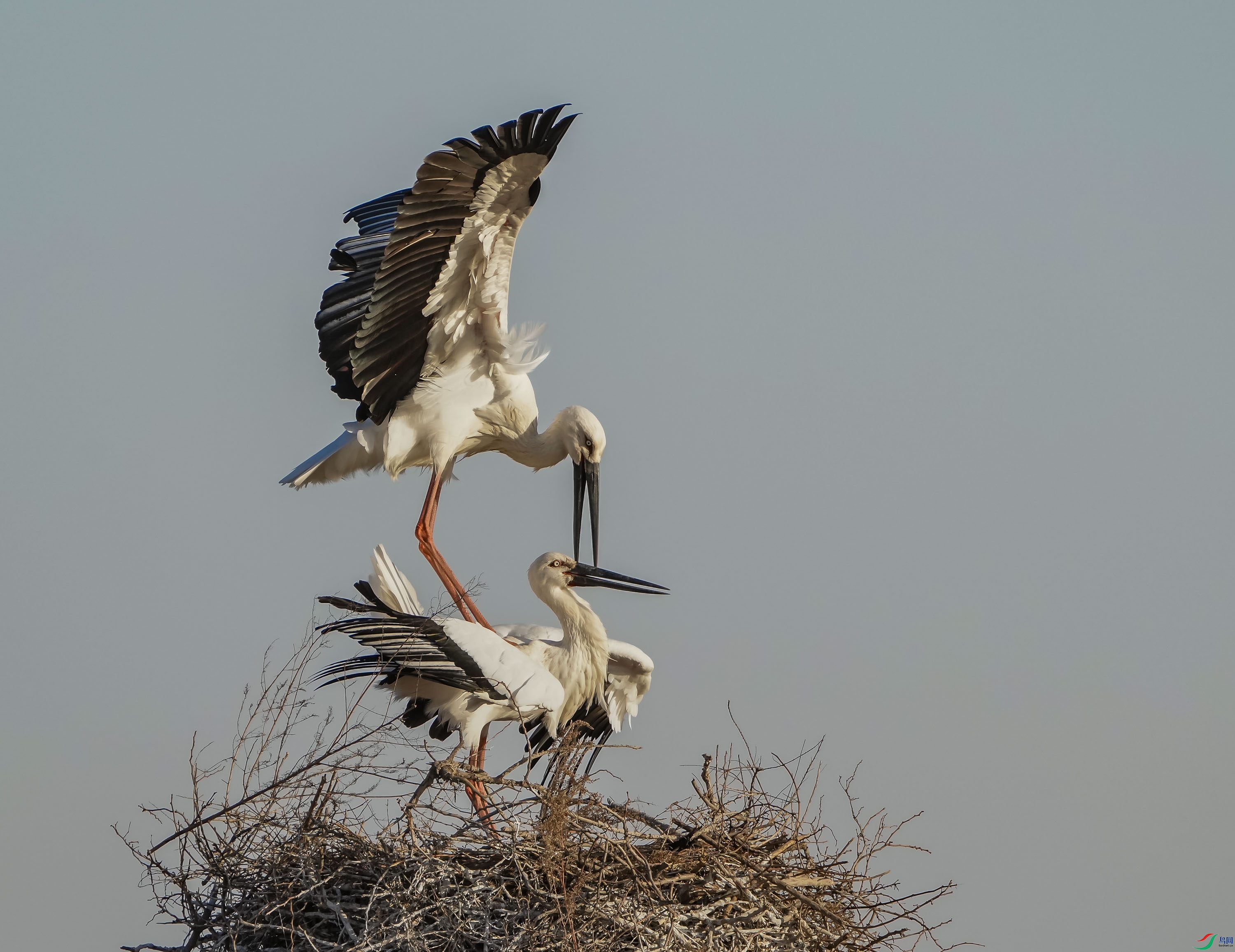 ��������-7 (2).jpg