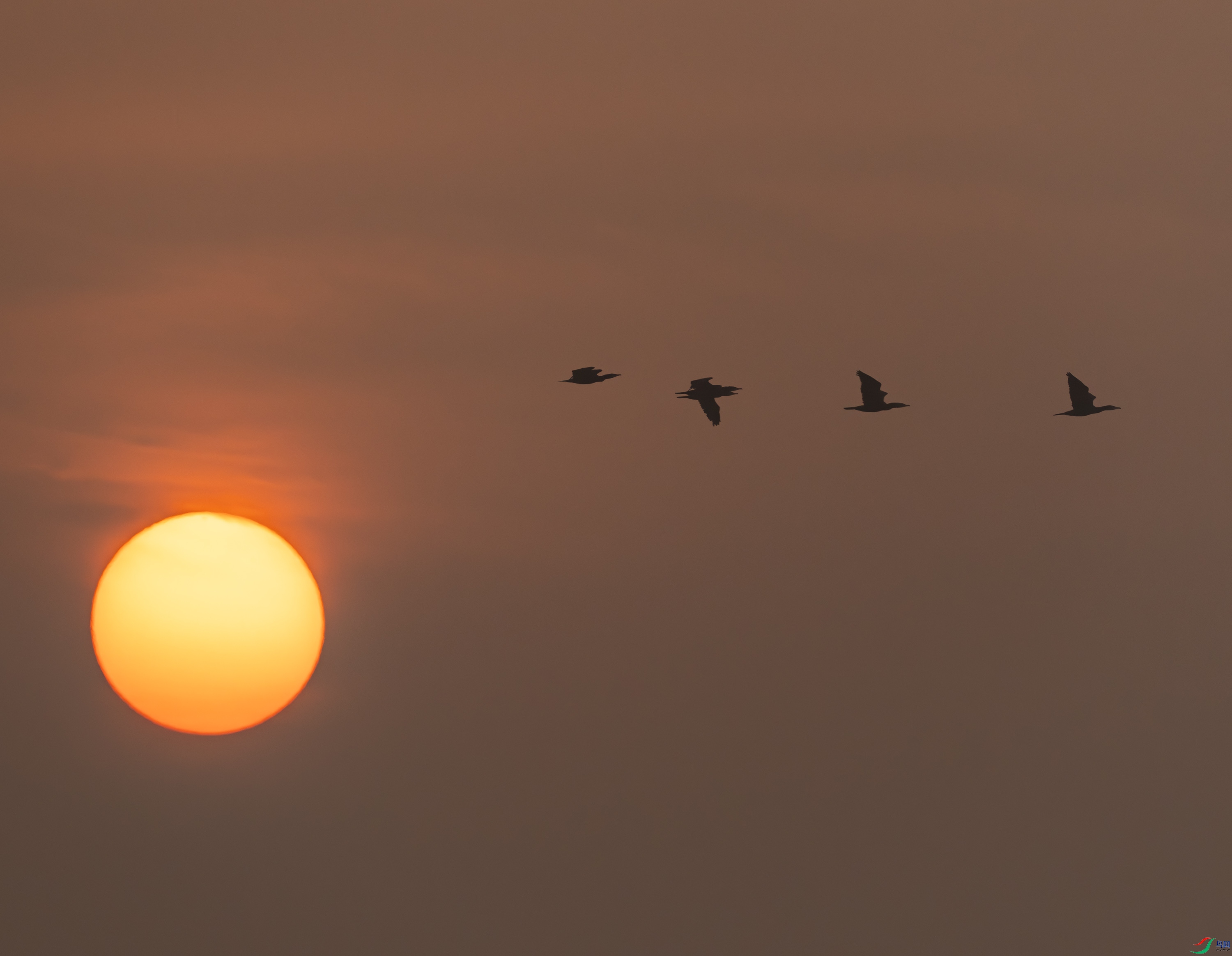 ������-01-7-2.jpg