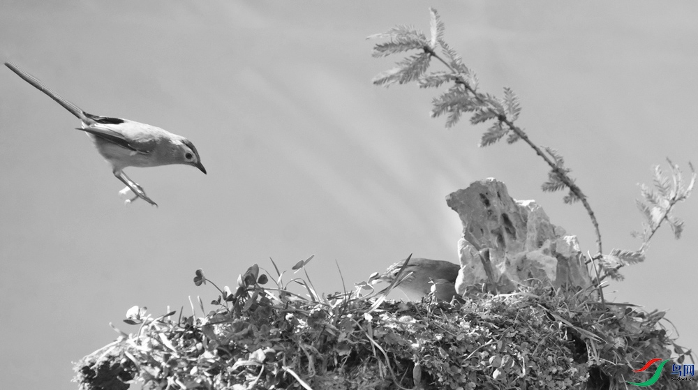 DSCF2164.1.jpg