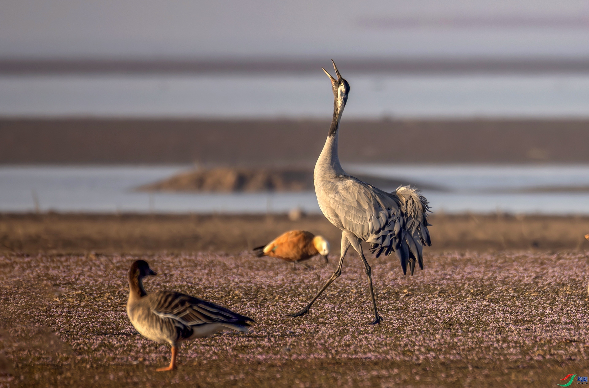 407A7121------222  .jpg