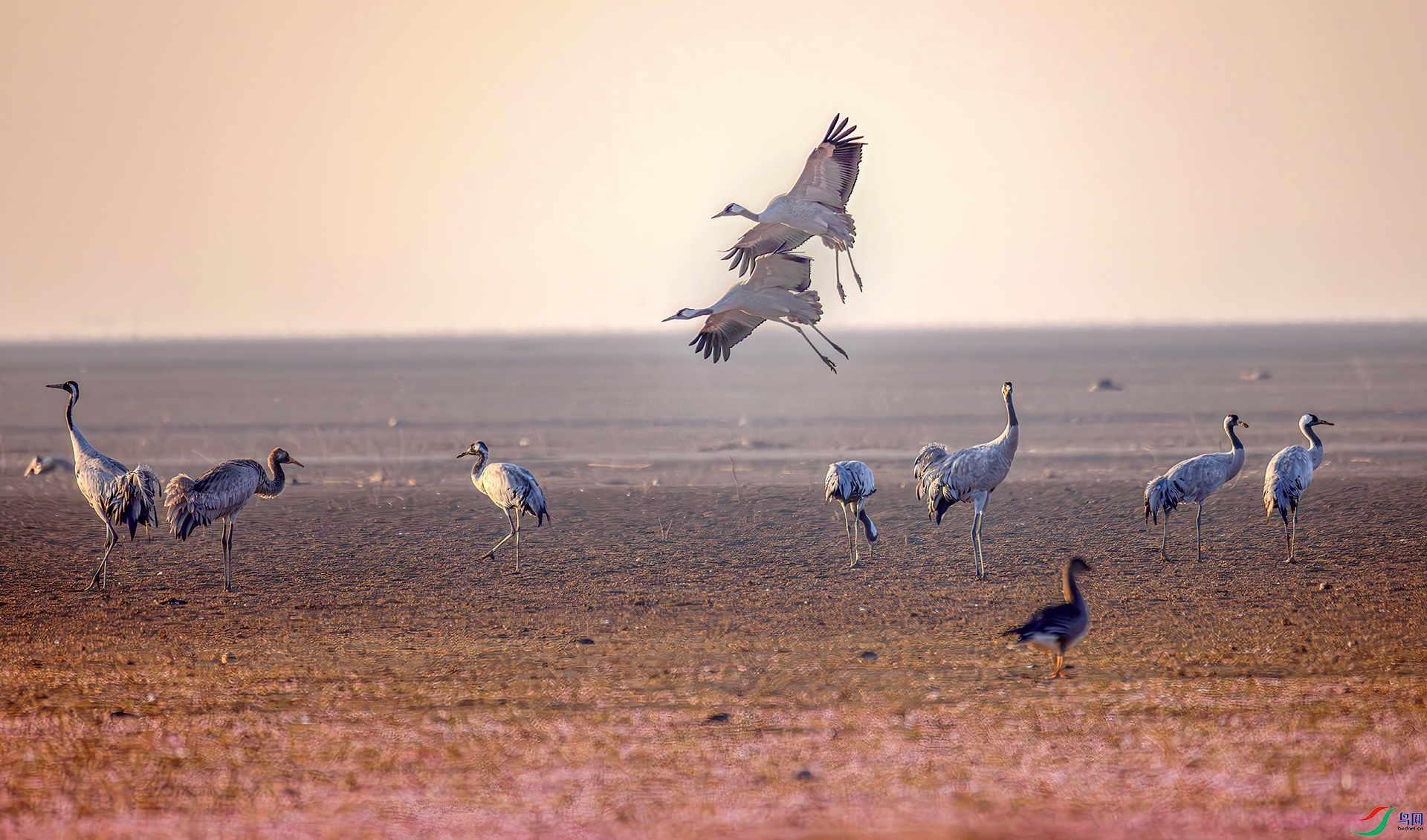 407A5794-----33.  .jpg