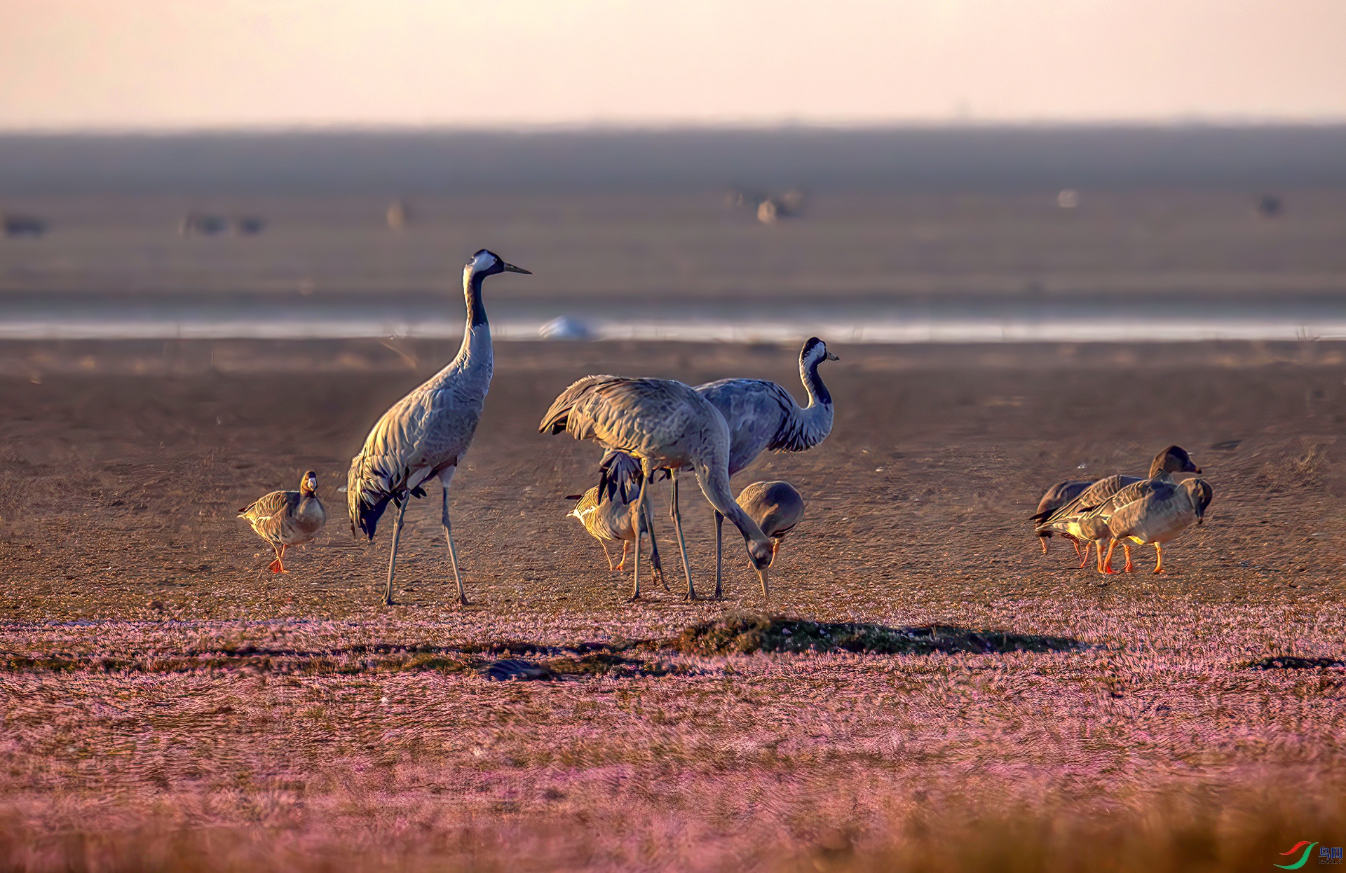 407A5395-----33  .jpg