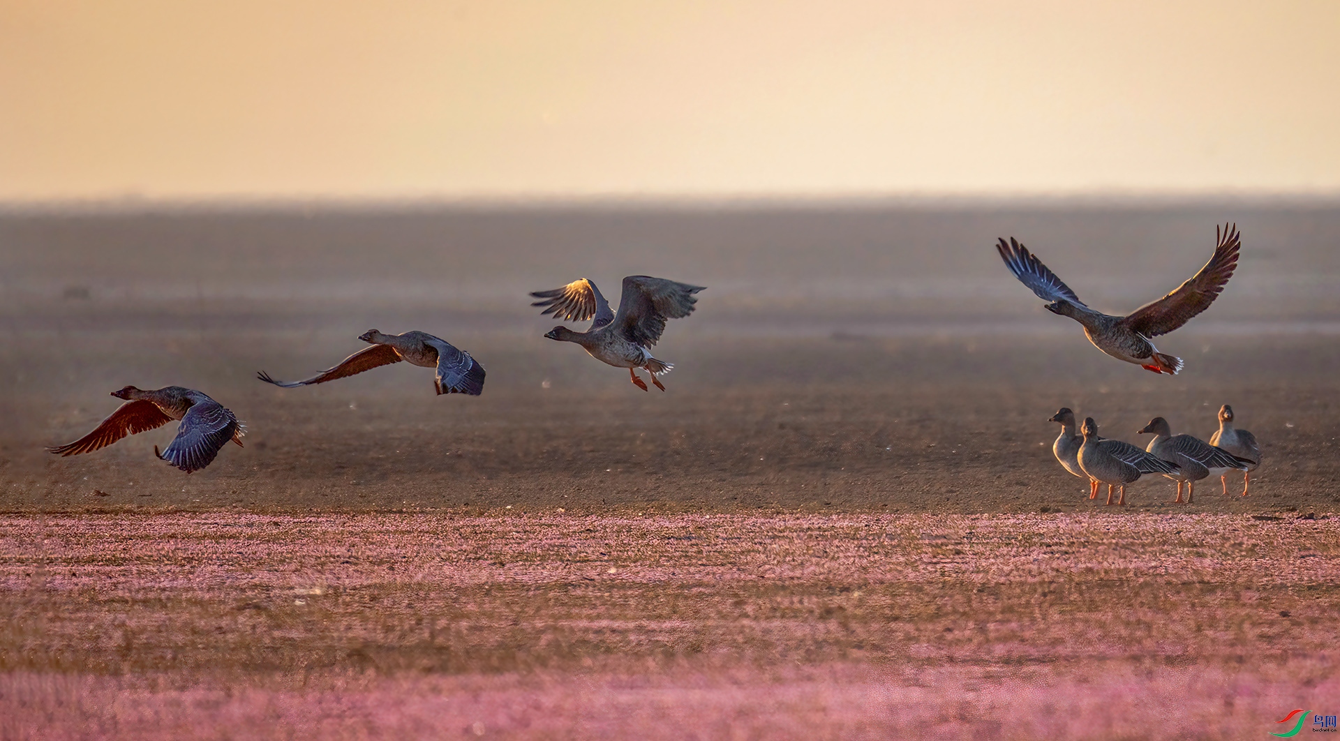 407A5302 -----33  .jpg