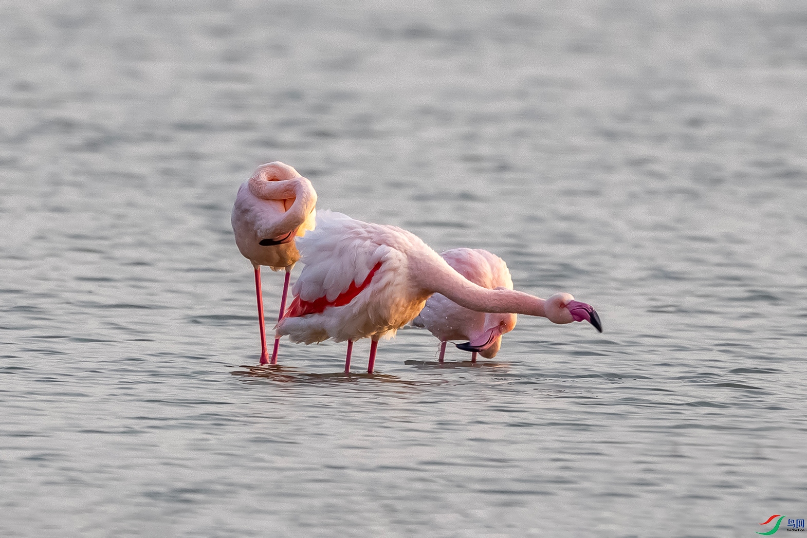 IMG_5183 ����.jpg