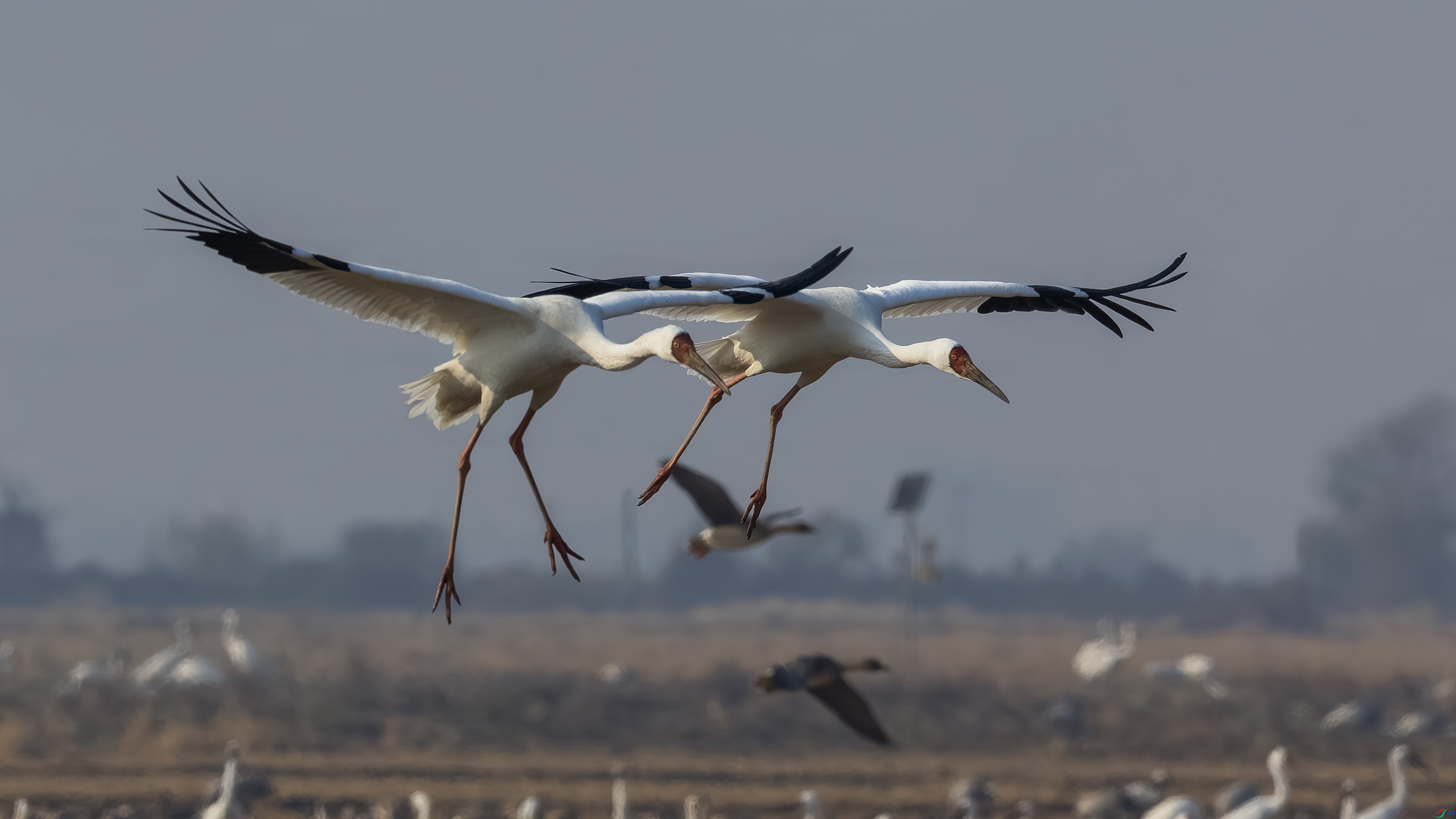 _O7A5290-�׺� 002.jpg