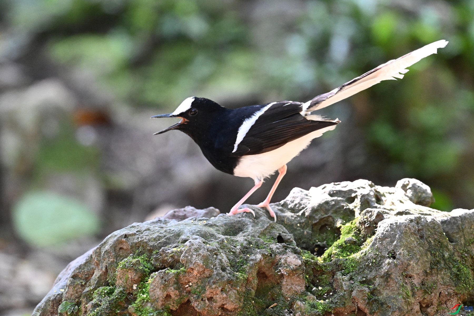 DSC_6559.JPG