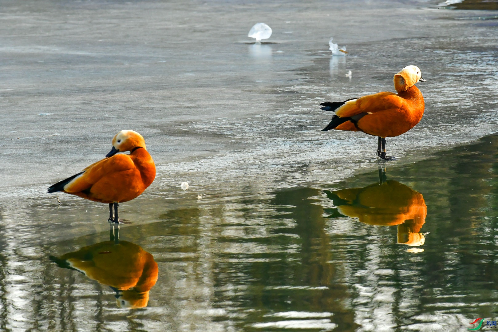 DSC_1327_2.jpg