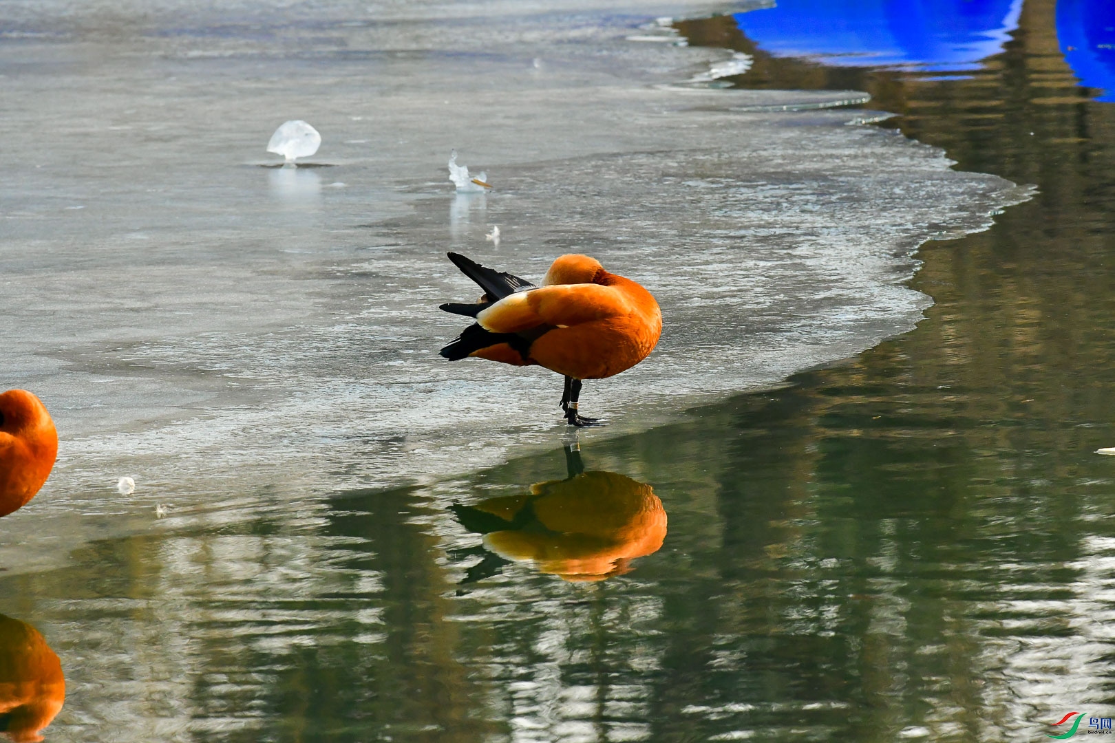 DSC_1329_2.jpg