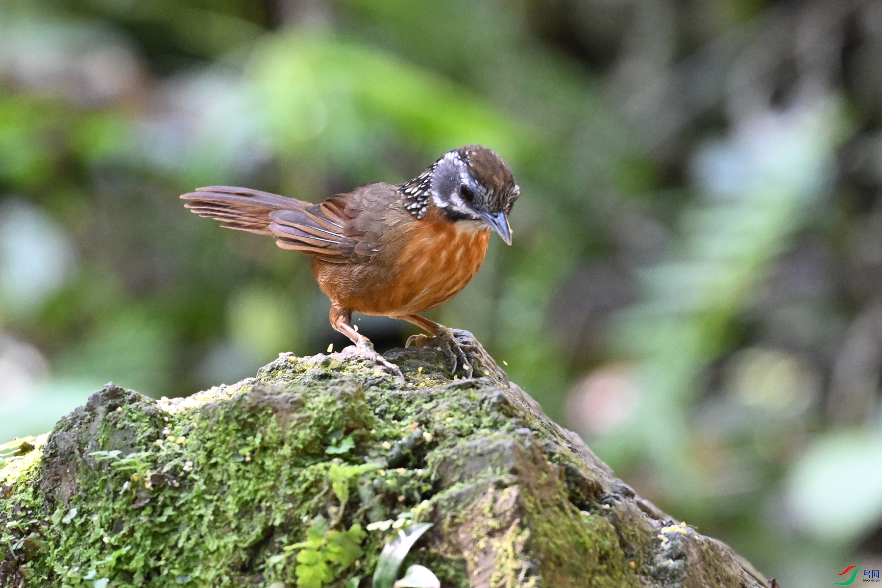 DSC_6541.JPG