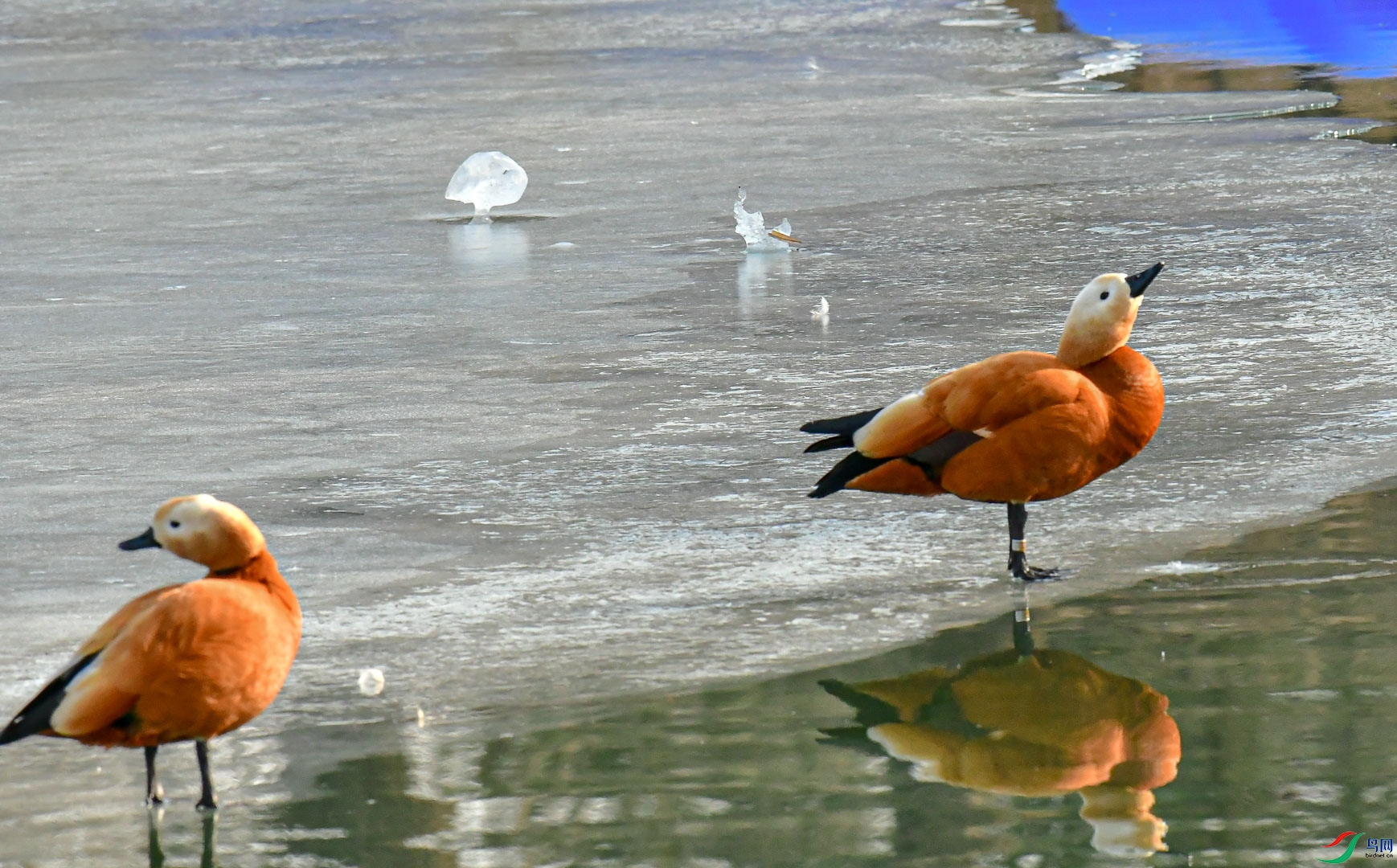 DSC_1338_1.jpg