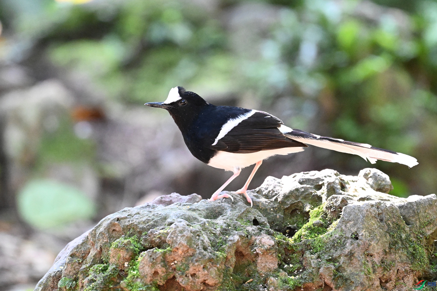 DSC_6557.JPG
