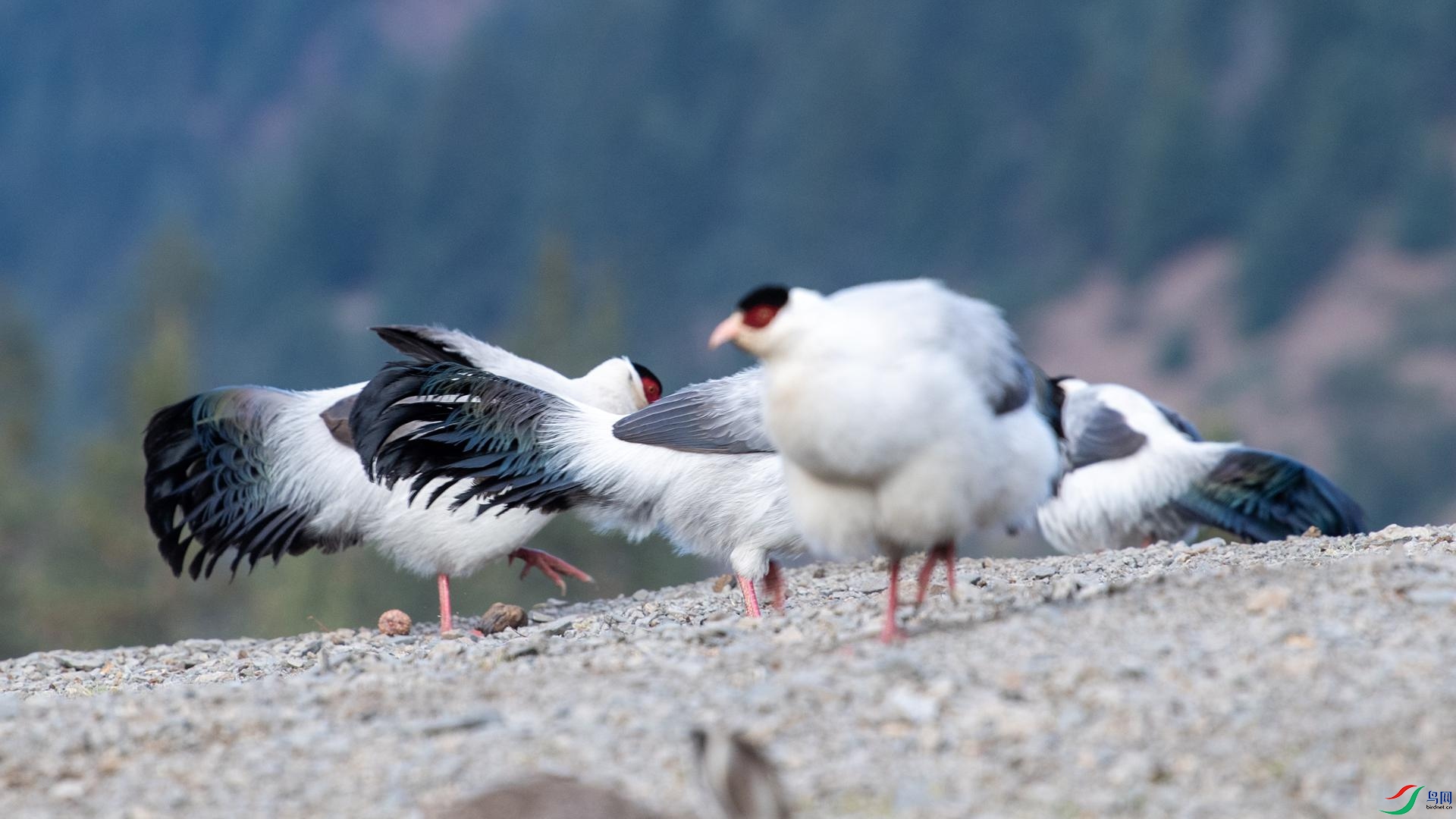 WGB_1011 ����.jpg