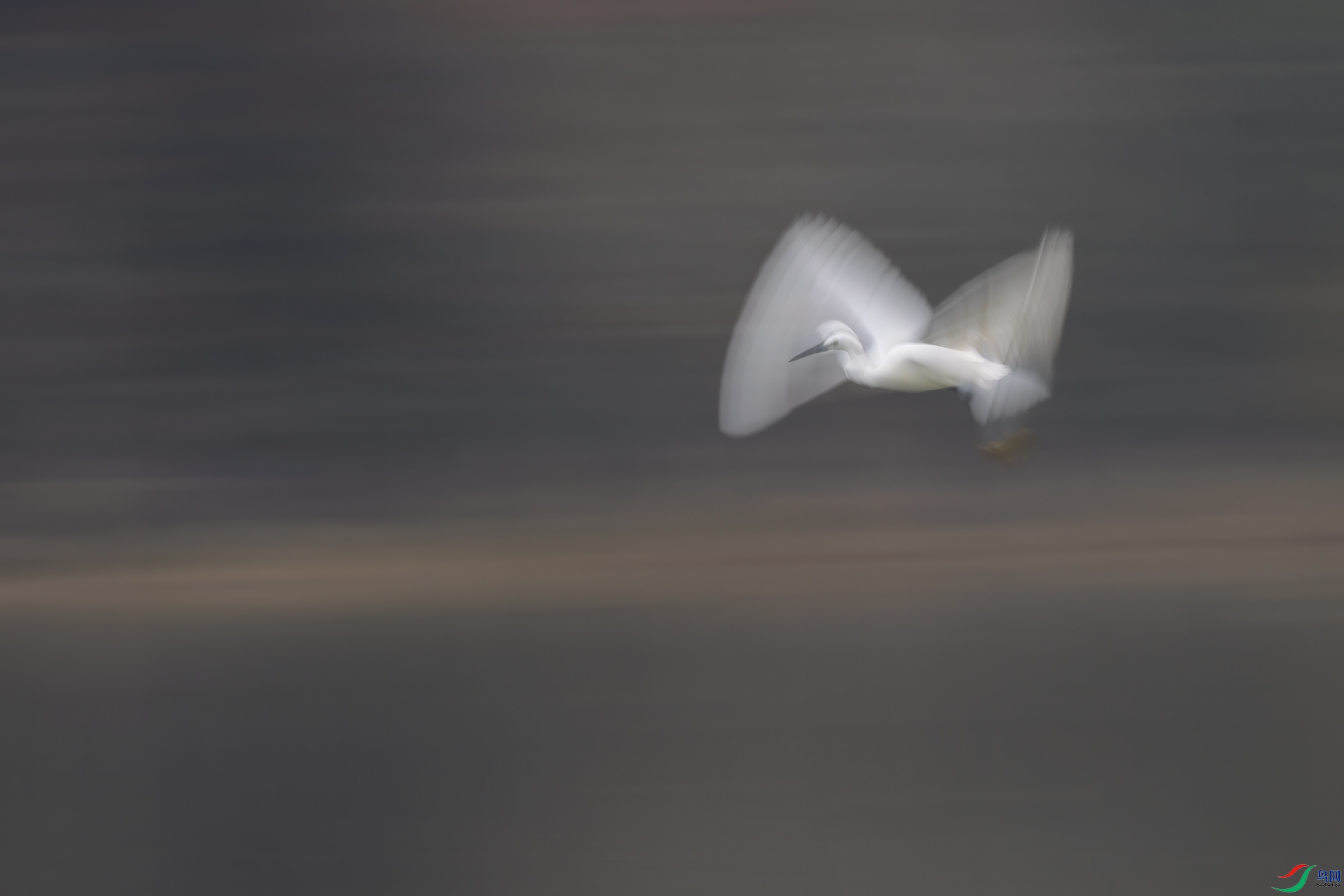 328A9174a.jpg