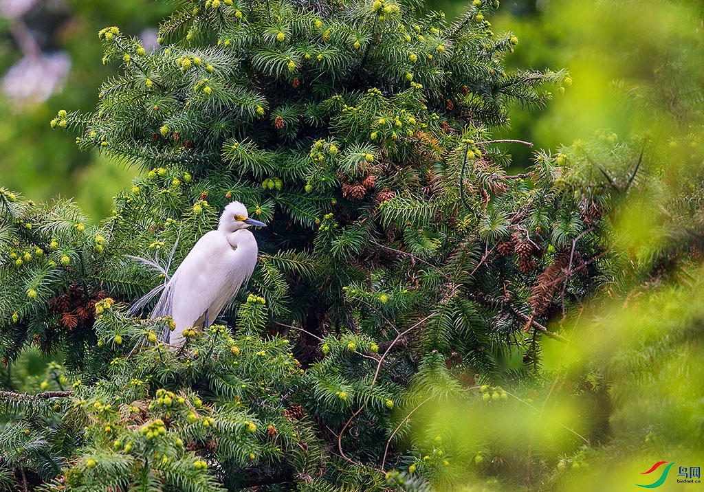 _DSC2057.jpg