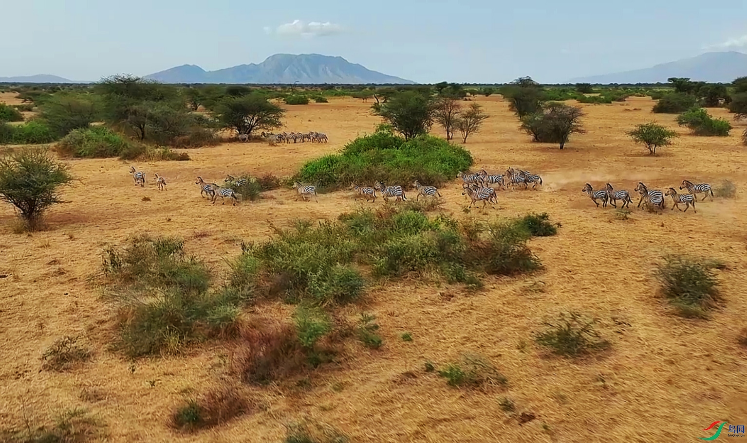 {8CE2D0DA-DFE6-4E02-A0E9-5B19874B964A} ����.jpg