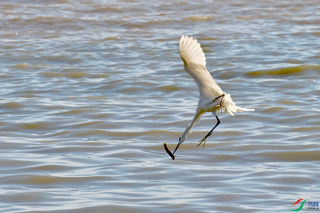 _DSC4736.jpg