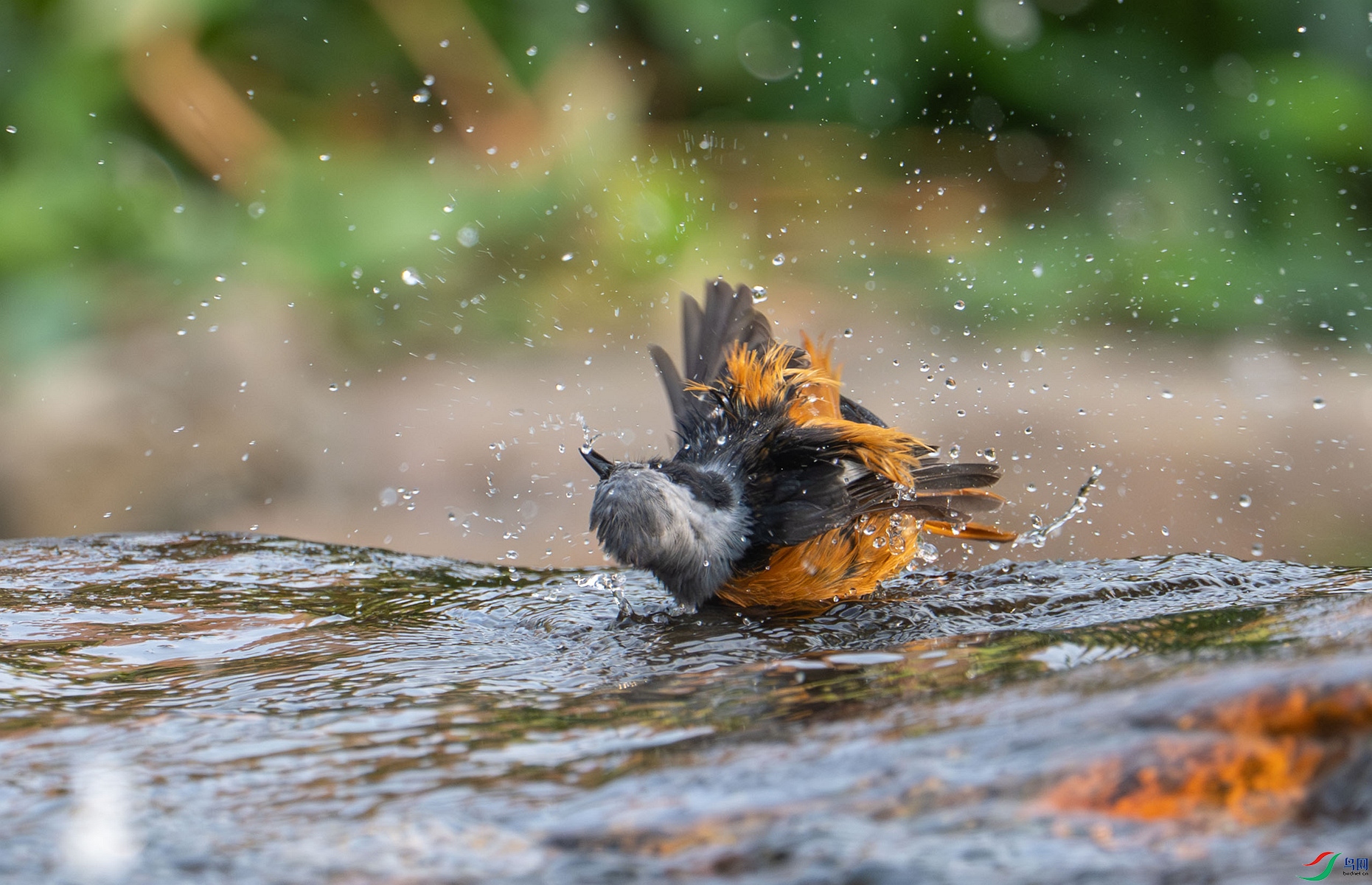 DSC_0640_����.jpg