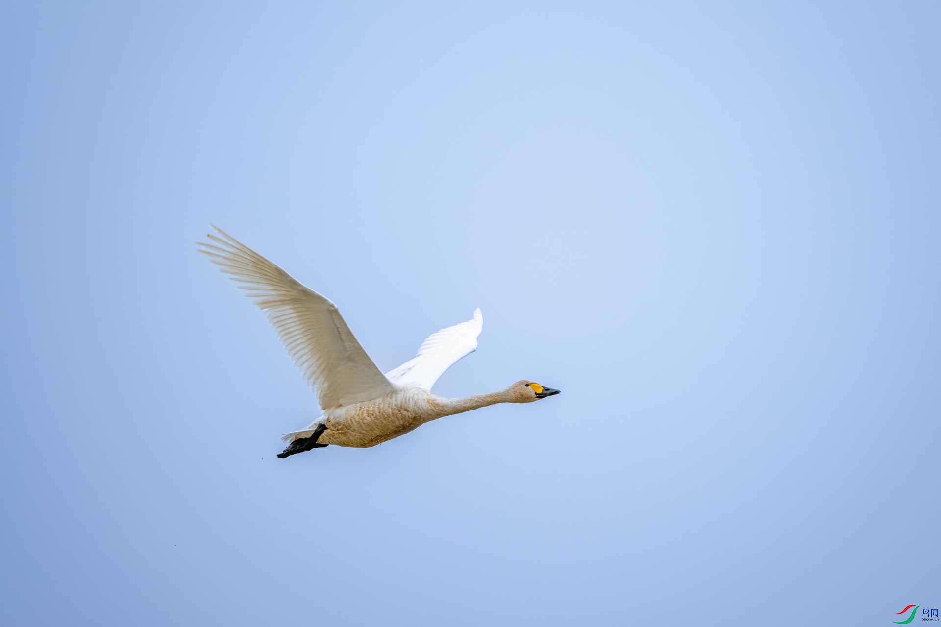 DSC_0196-1.jpg
