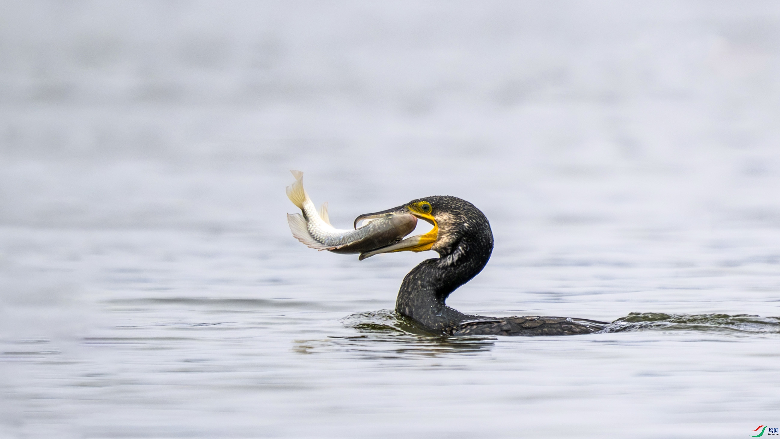 _DSC2121 ���� 2.jpg