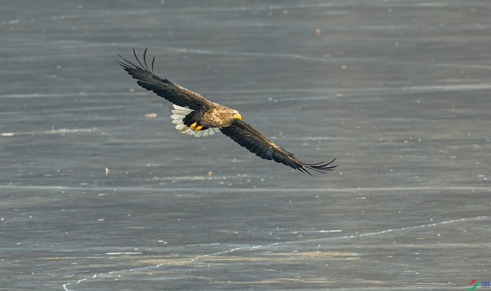 066A0903-1.jpg