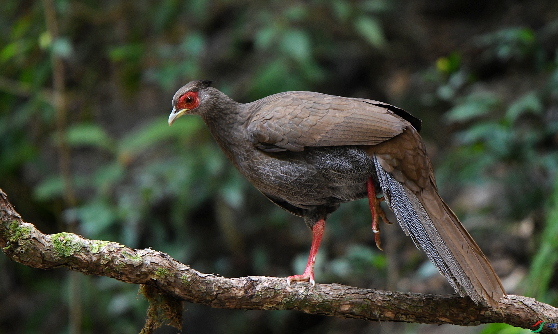 DSC_0607.jpg