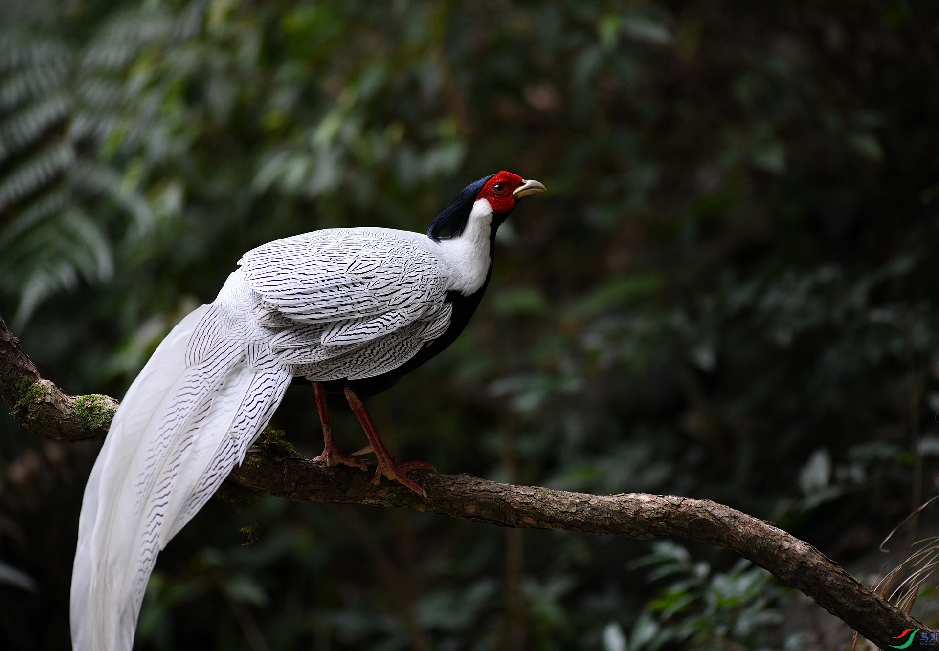 DSC_7161.jpg
