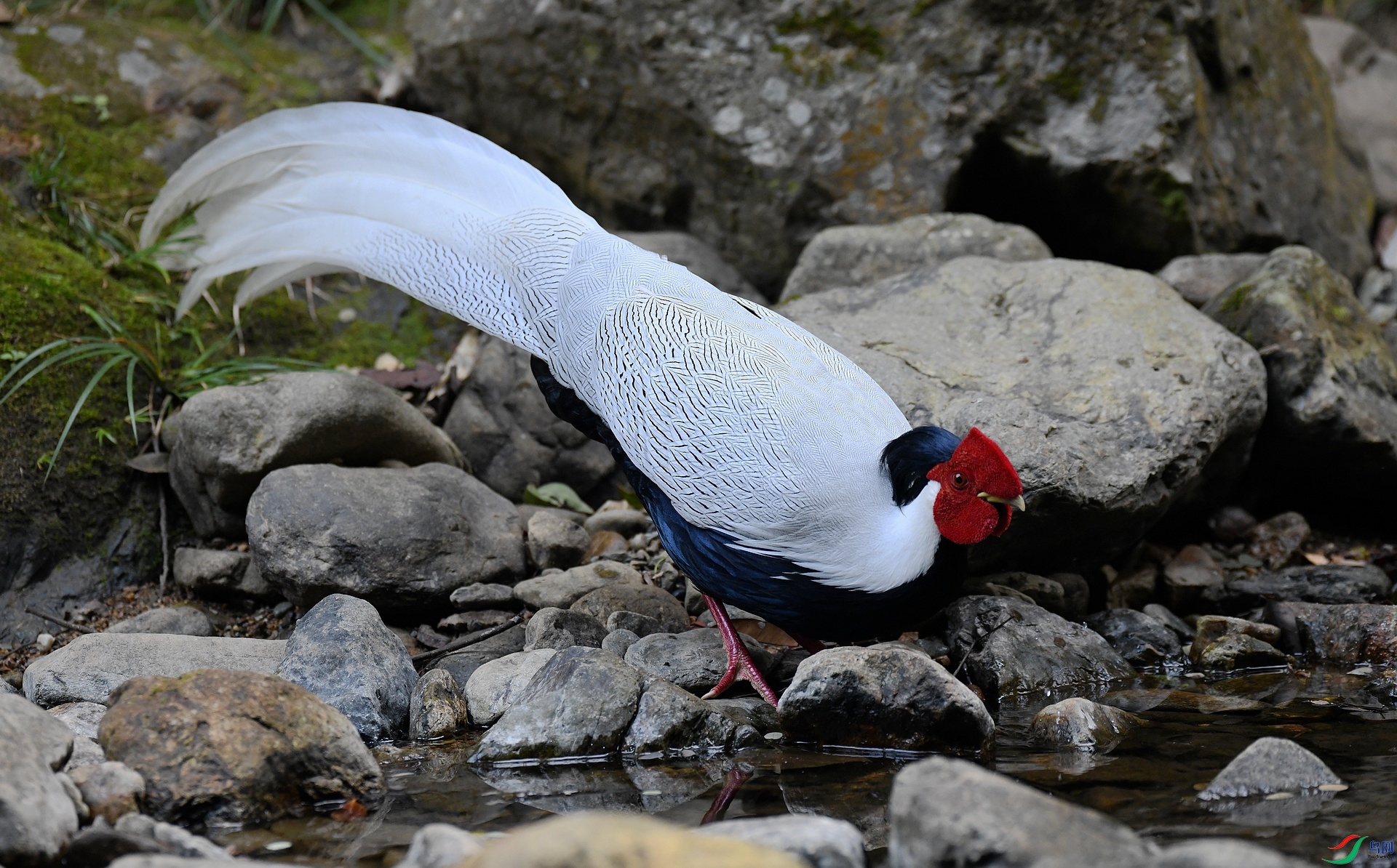 DSC_7020.jpg