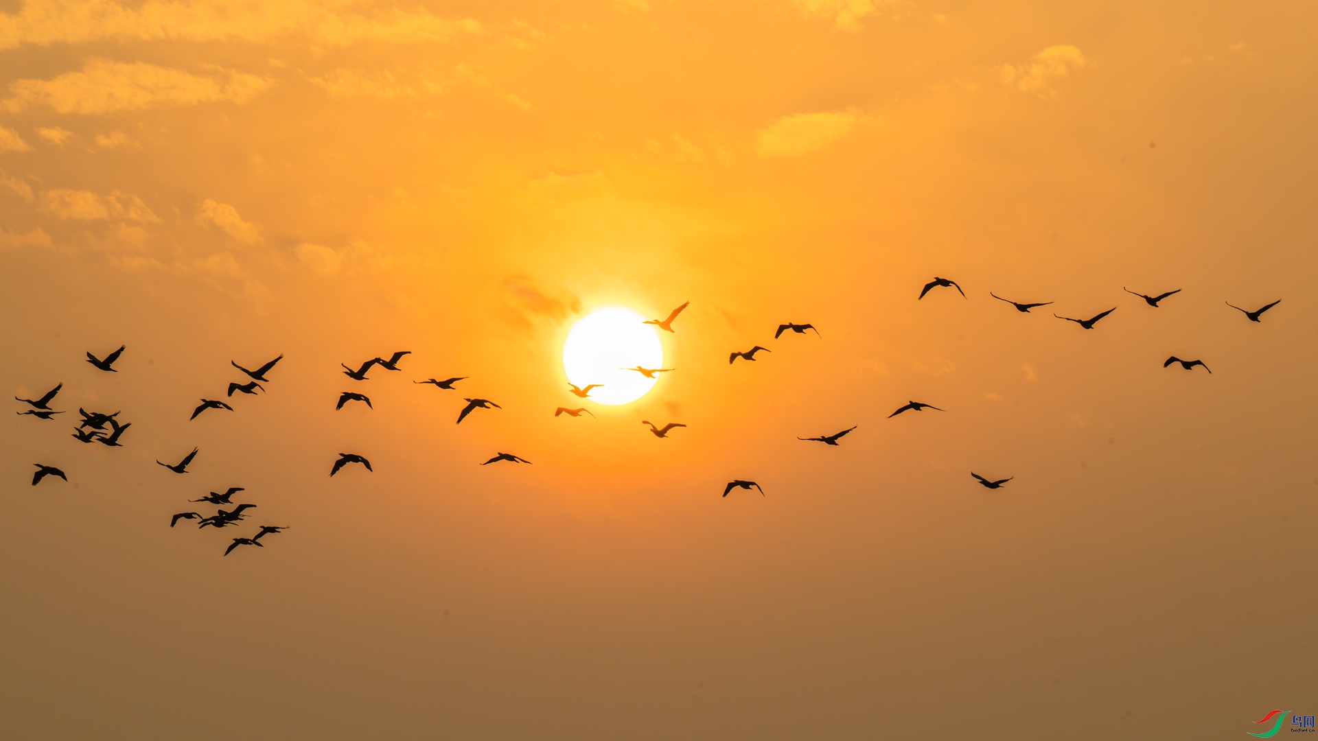 DSC_0001 ����_����.jpg