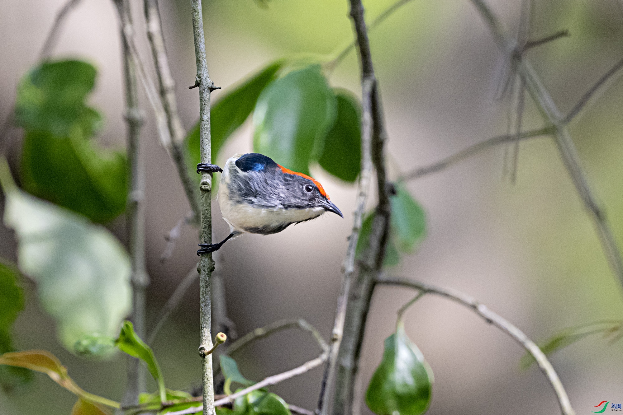DSC_8341.jpg