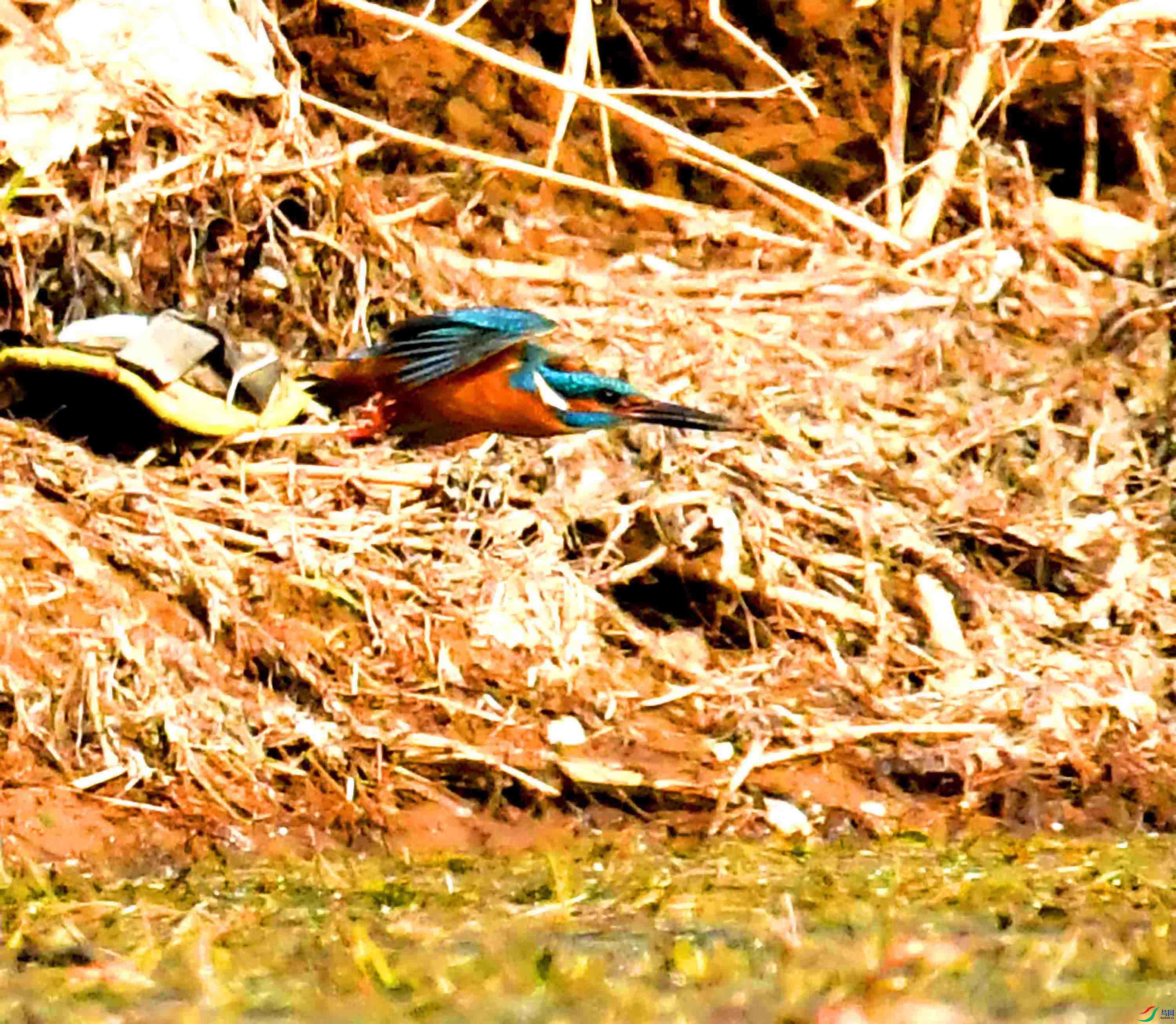 DSC_9281.JPG