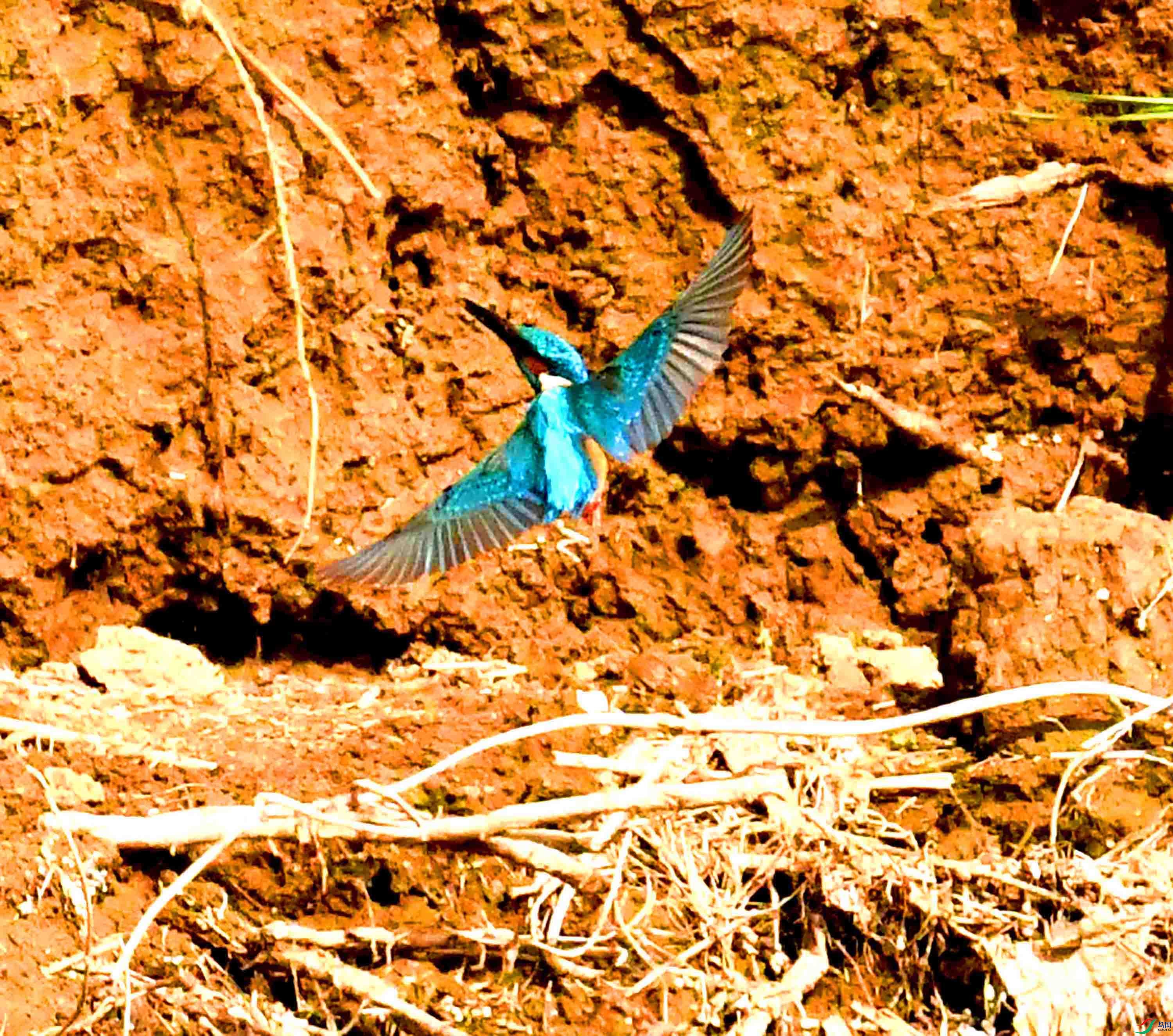 DSC_9271.JPG