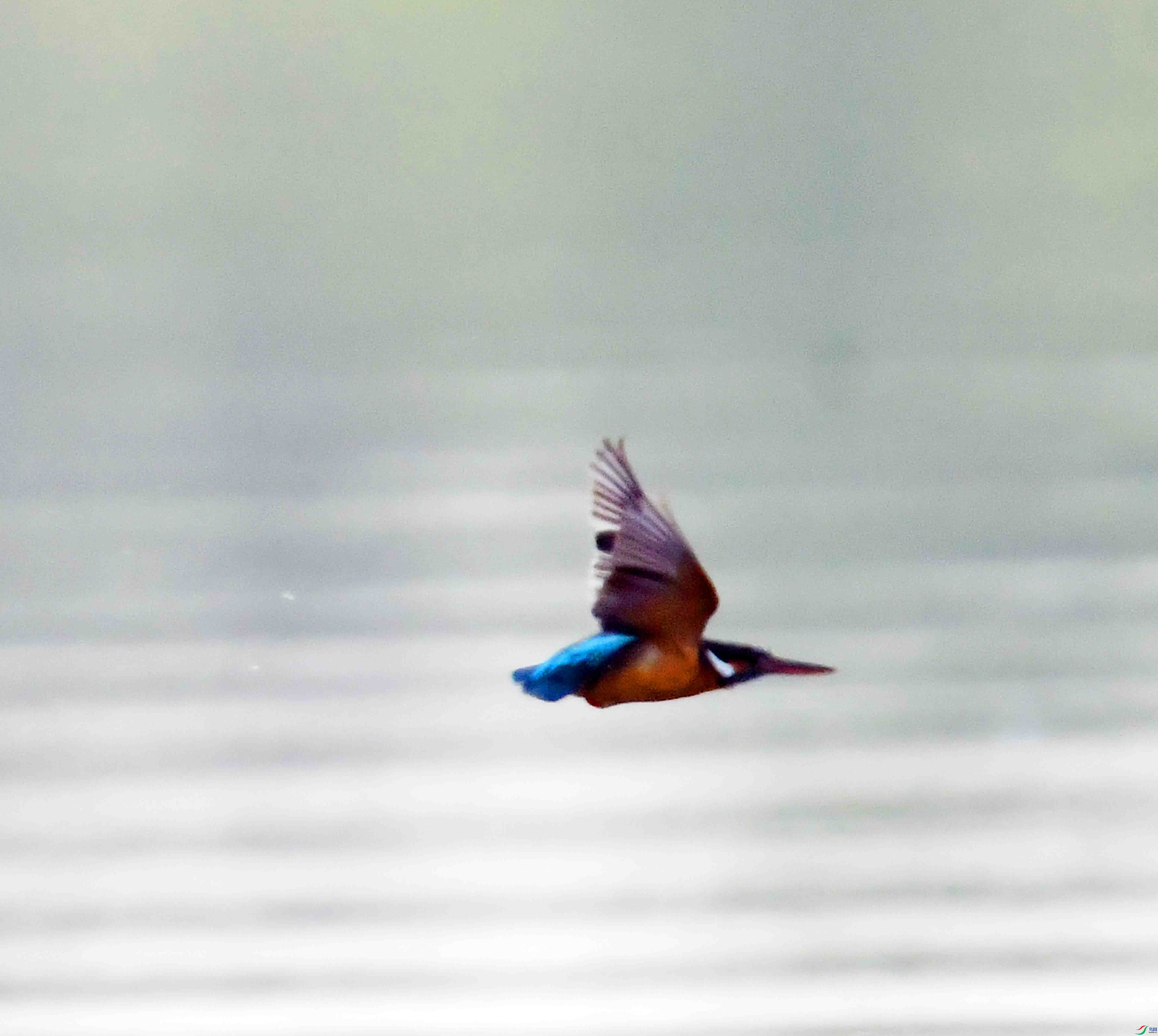 DSC_9549.JPG