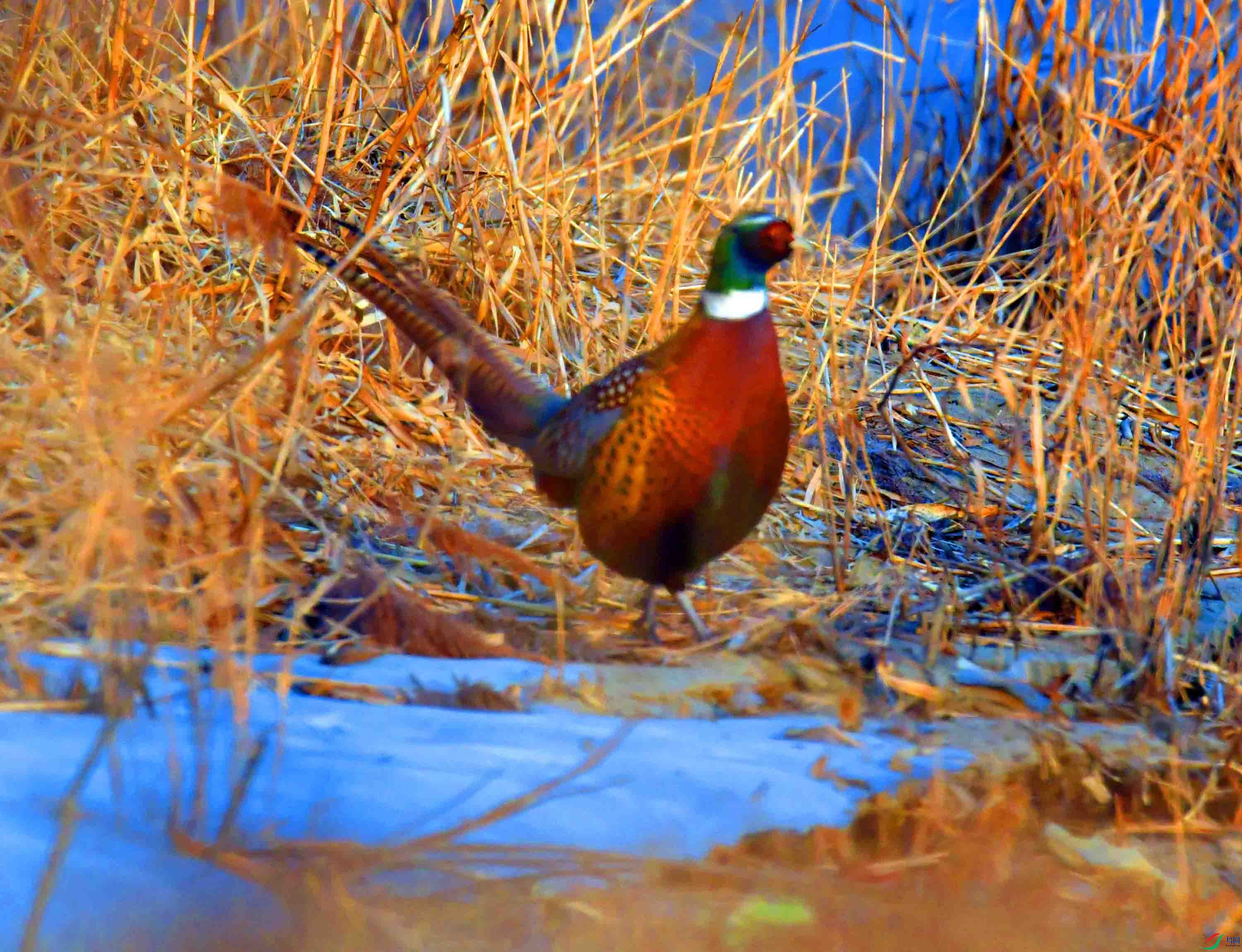 DSC_6502.JPG