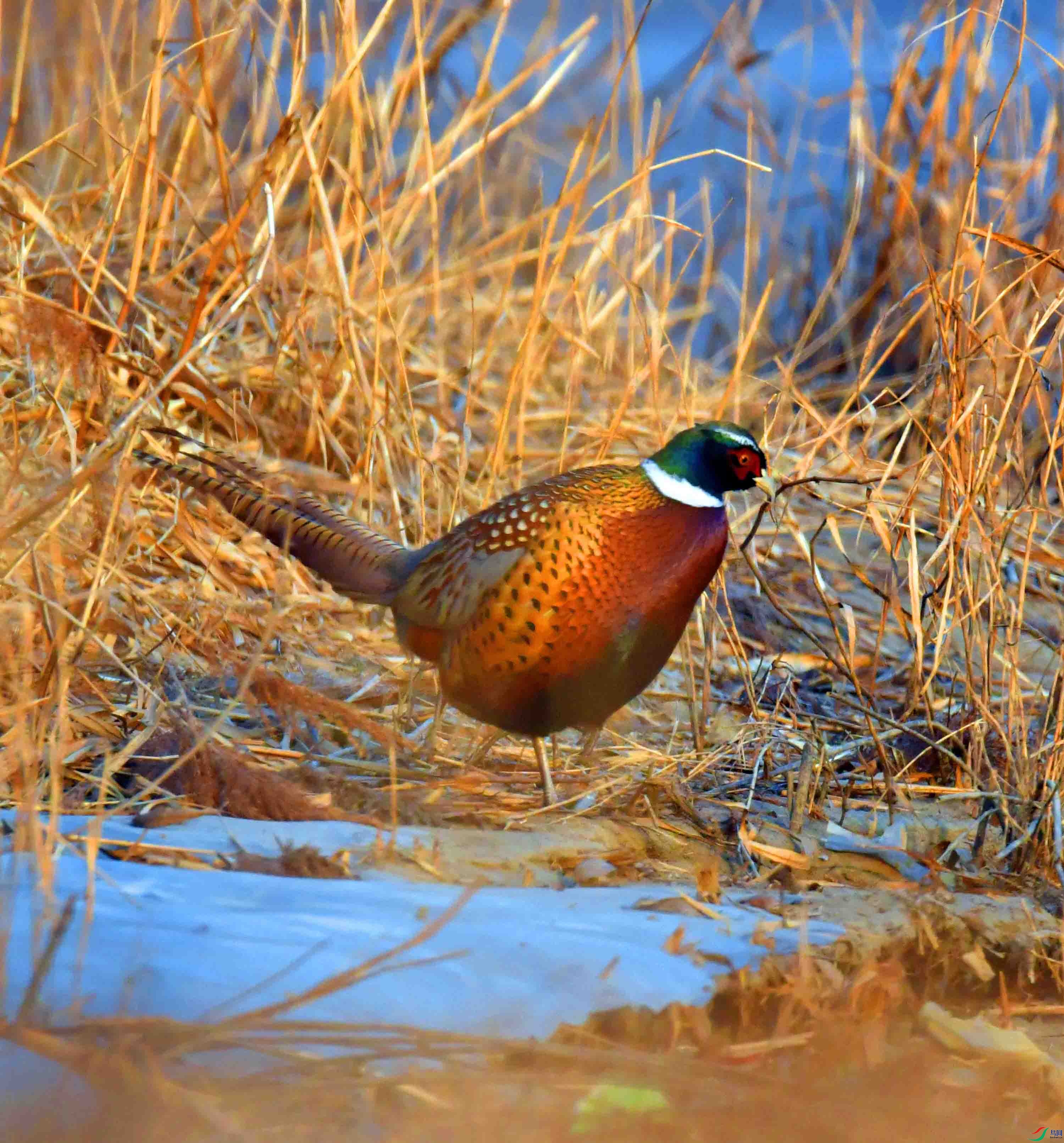DSC_6507.JPG