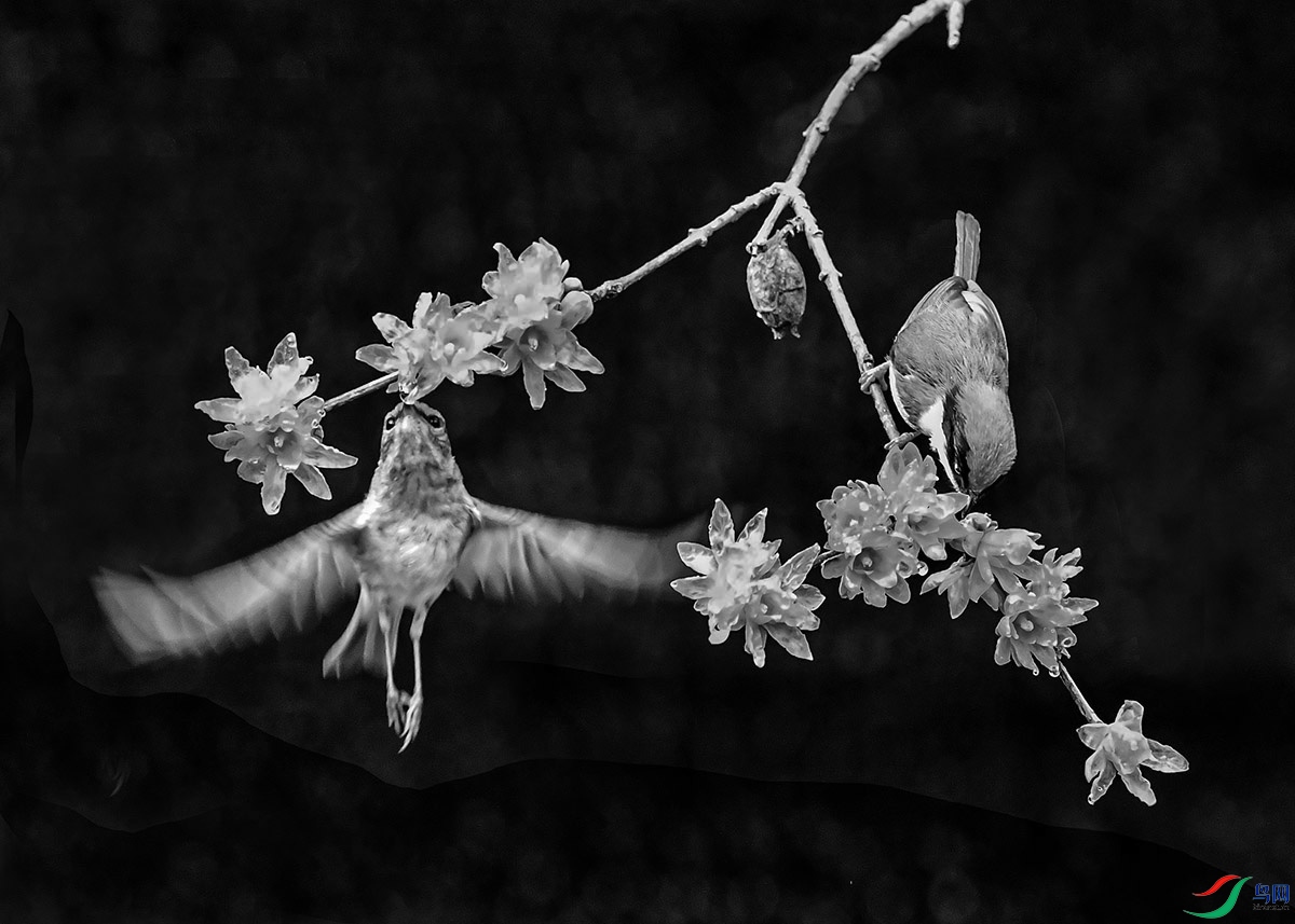 DSC_0494`.jpg