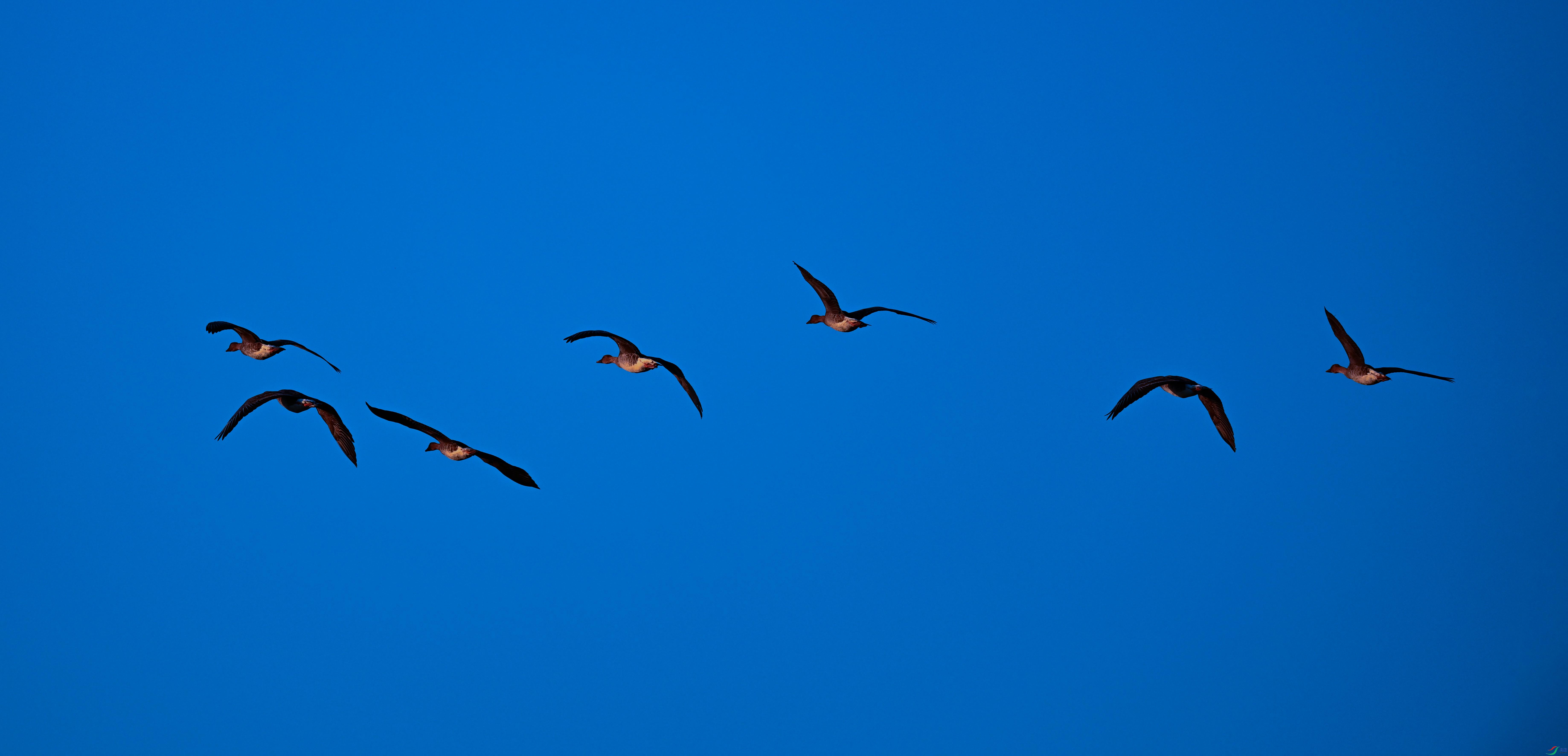 DSC_2937.jpg