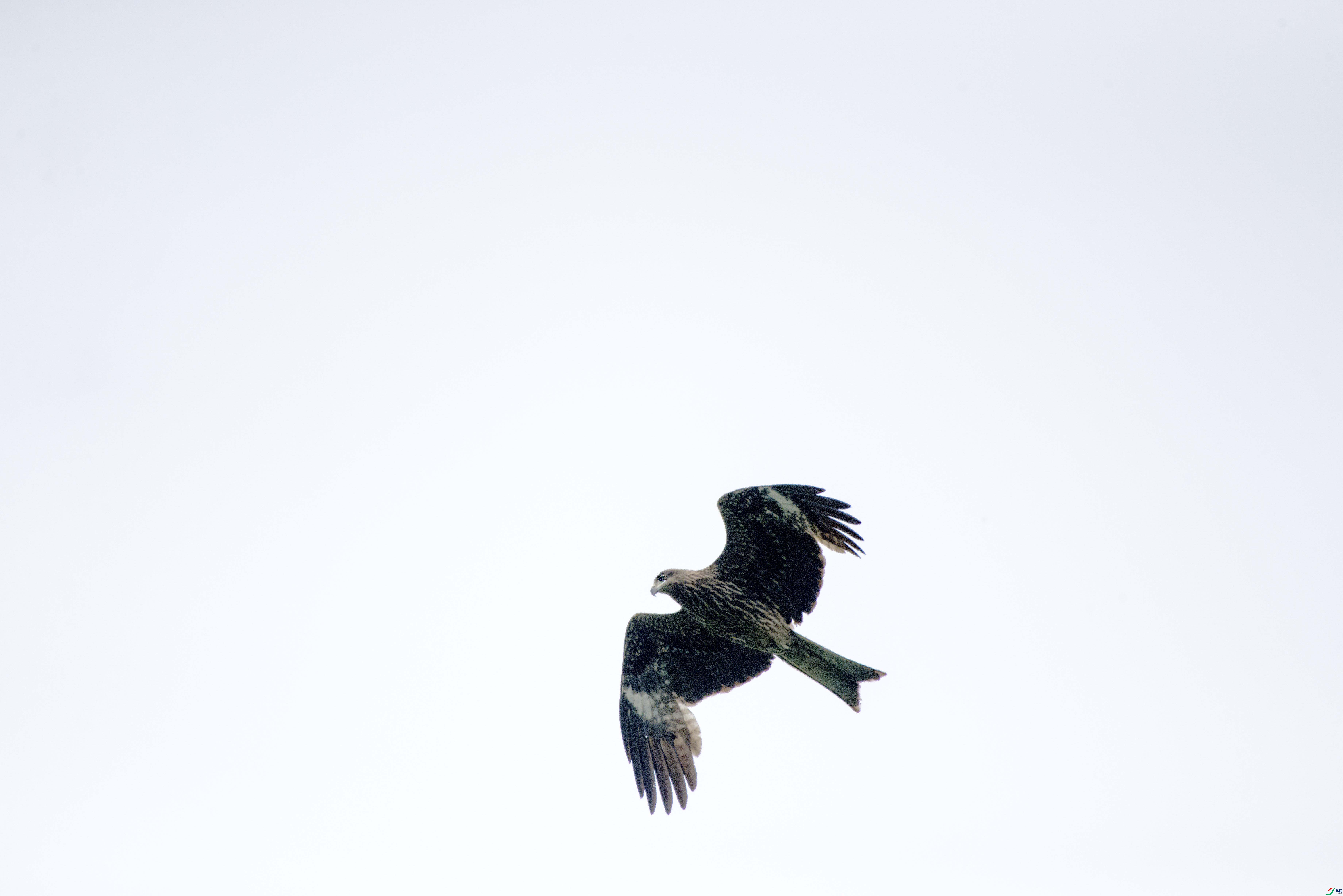 DSC_3430.jpg