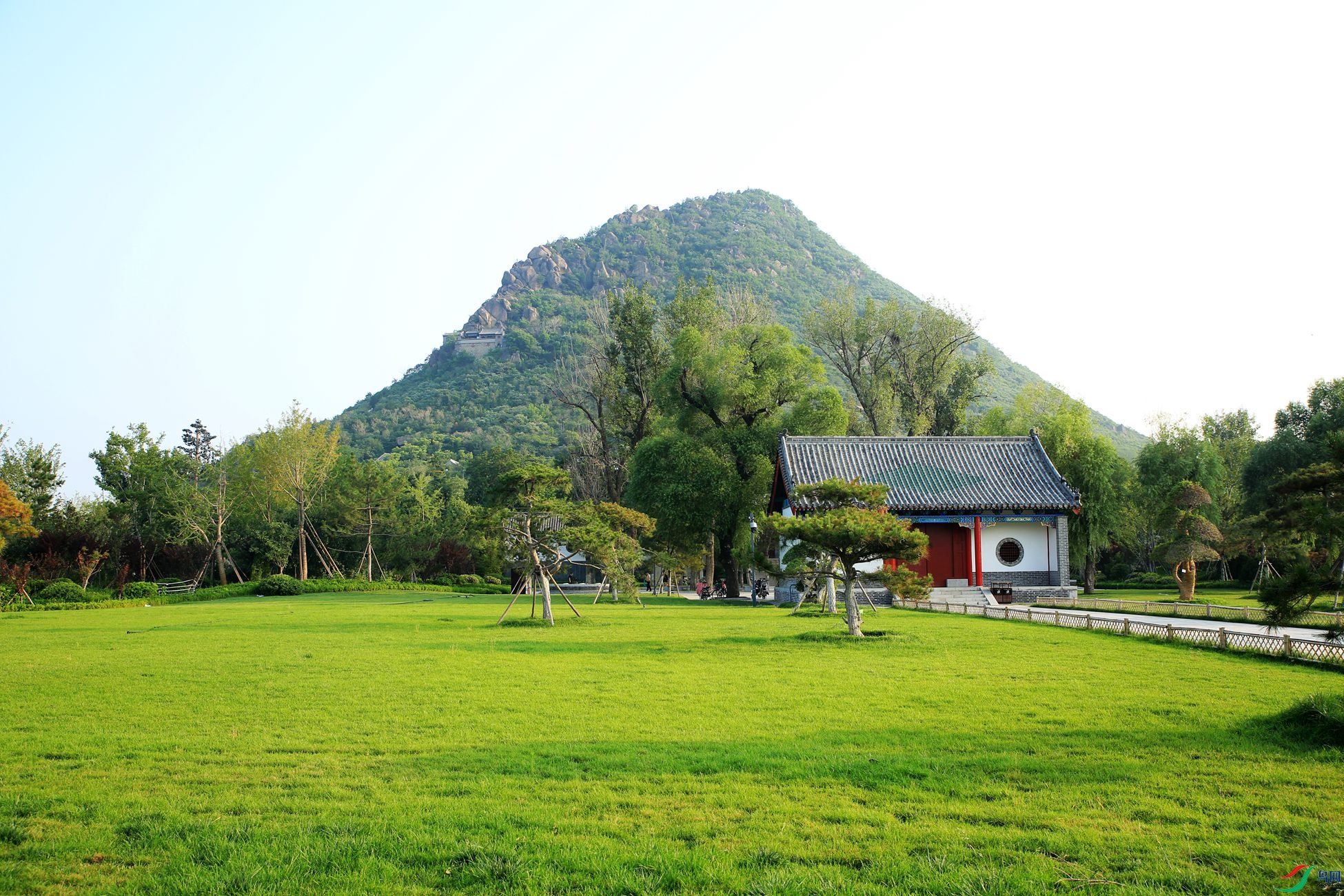 105.jpg