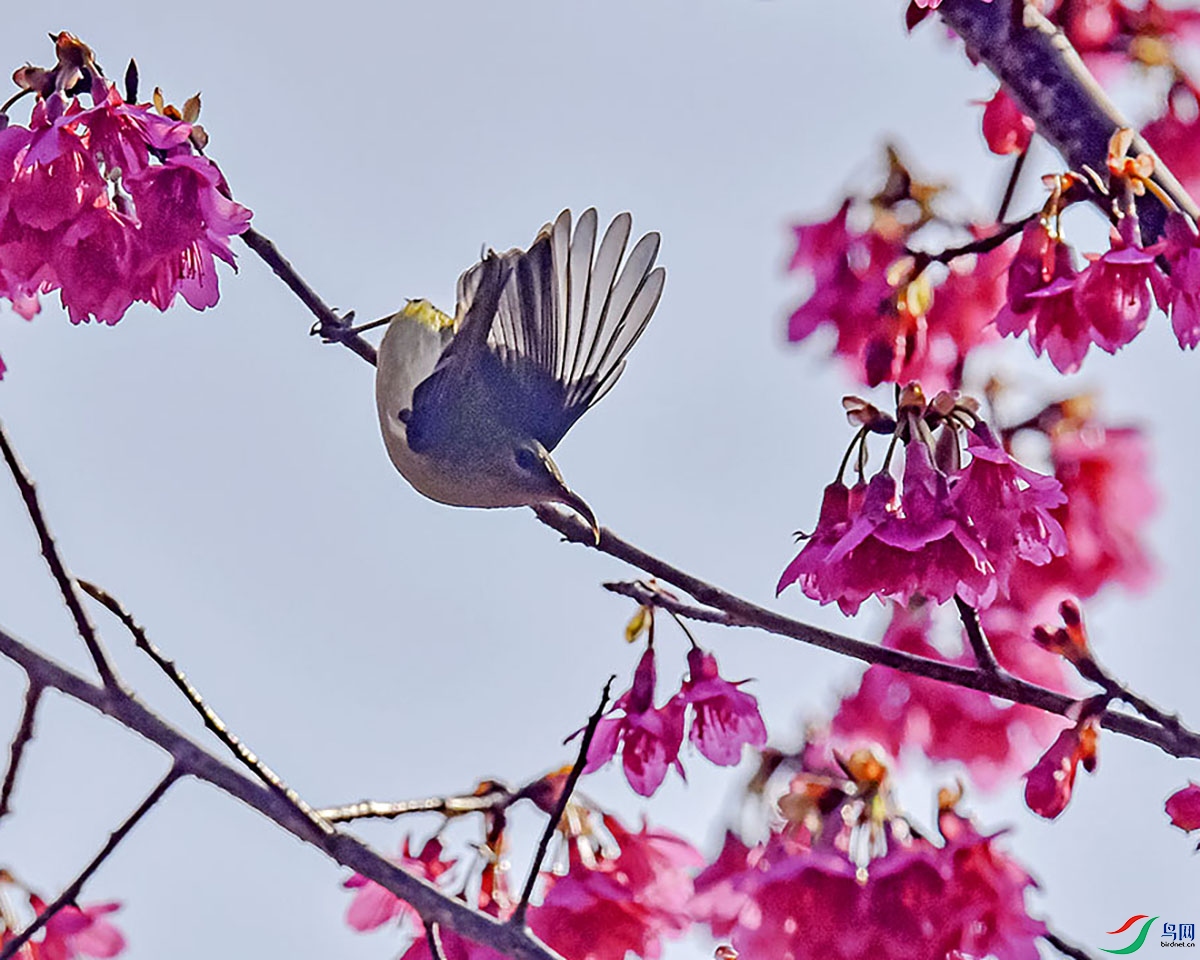 DSC_7261.jpg