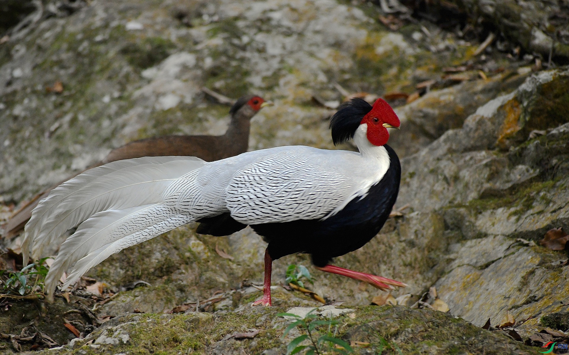 DSC_8906.jpg