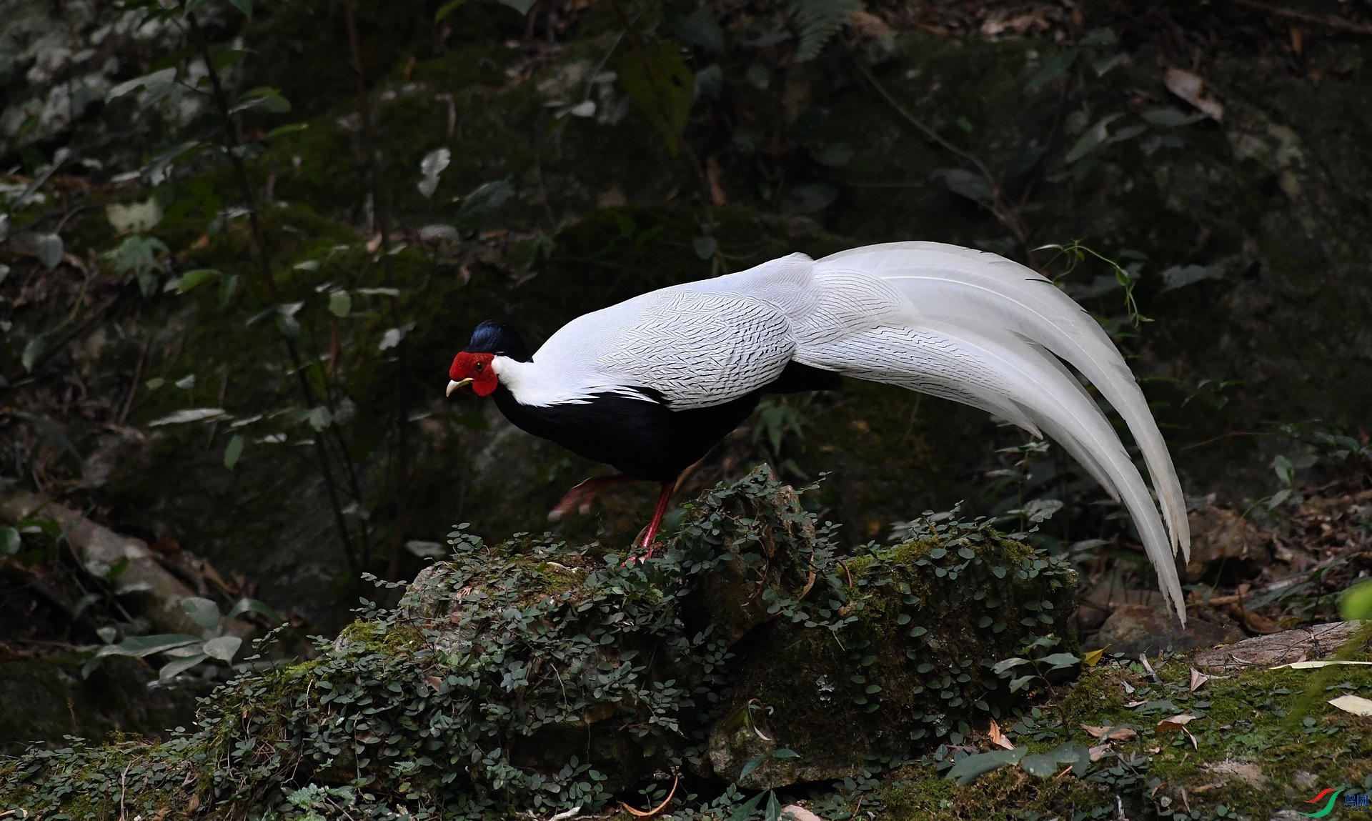 DSC_8652.jpg