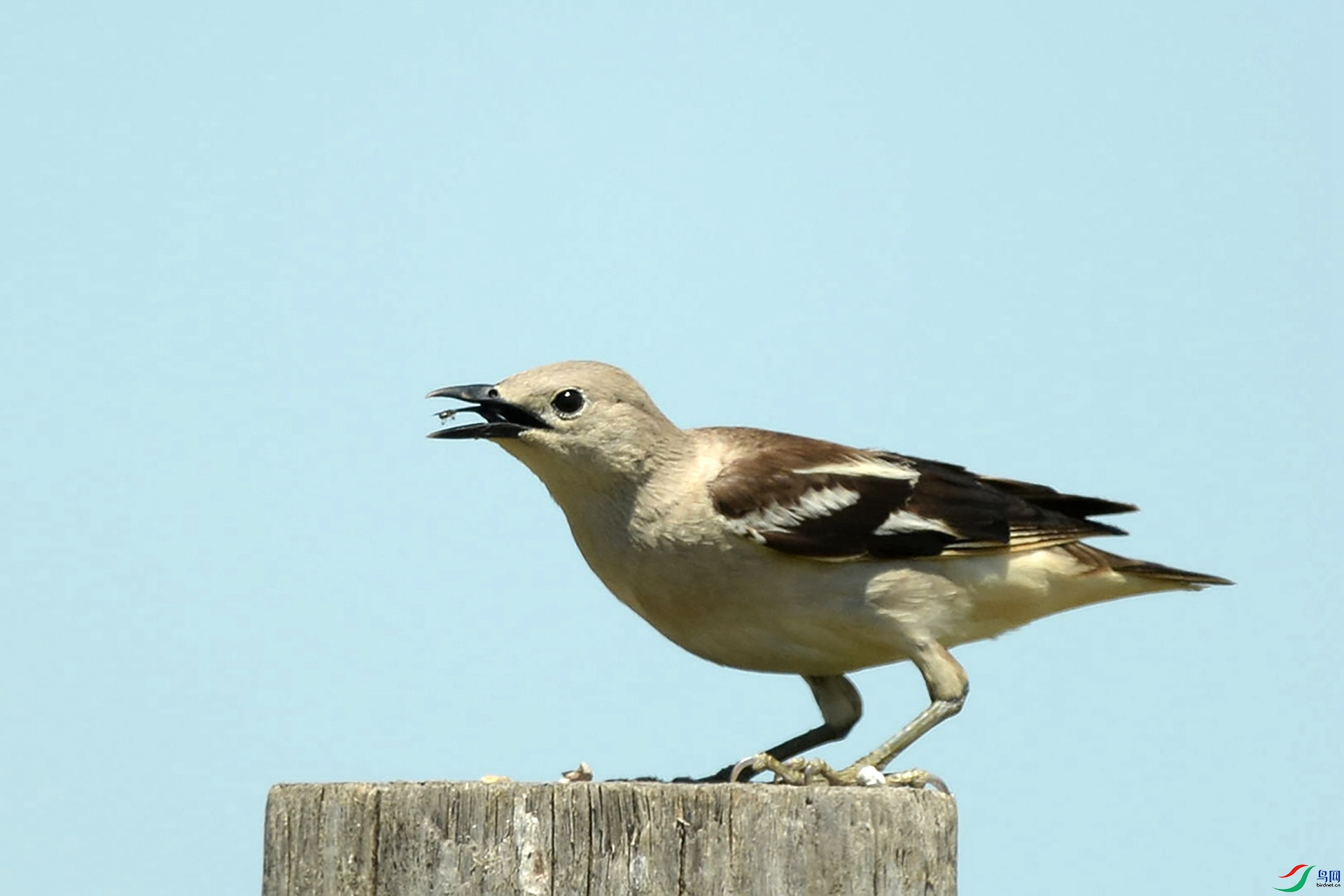 DSC_9535.jpg