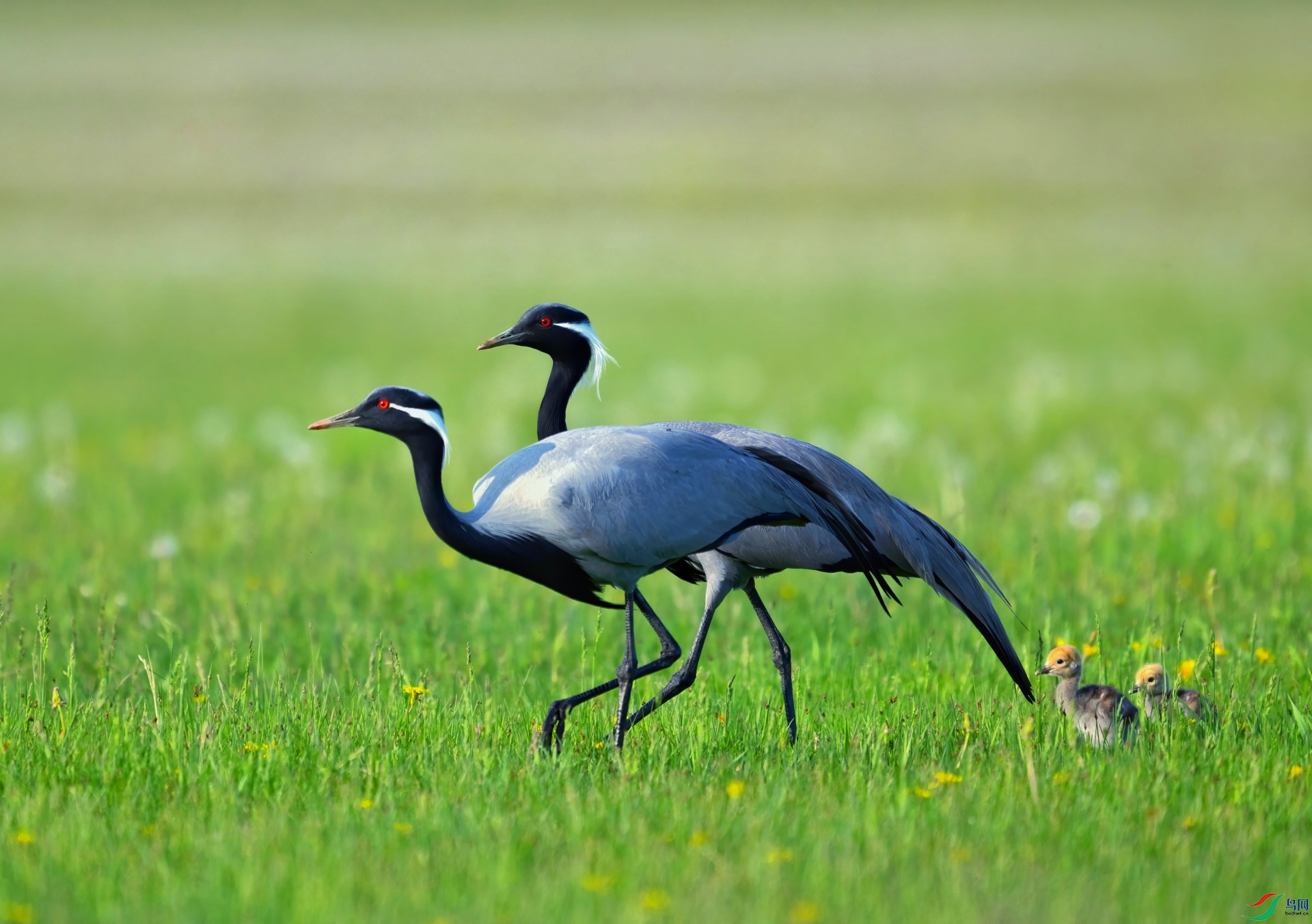 _DSC6014 ����-01-01.jpeg