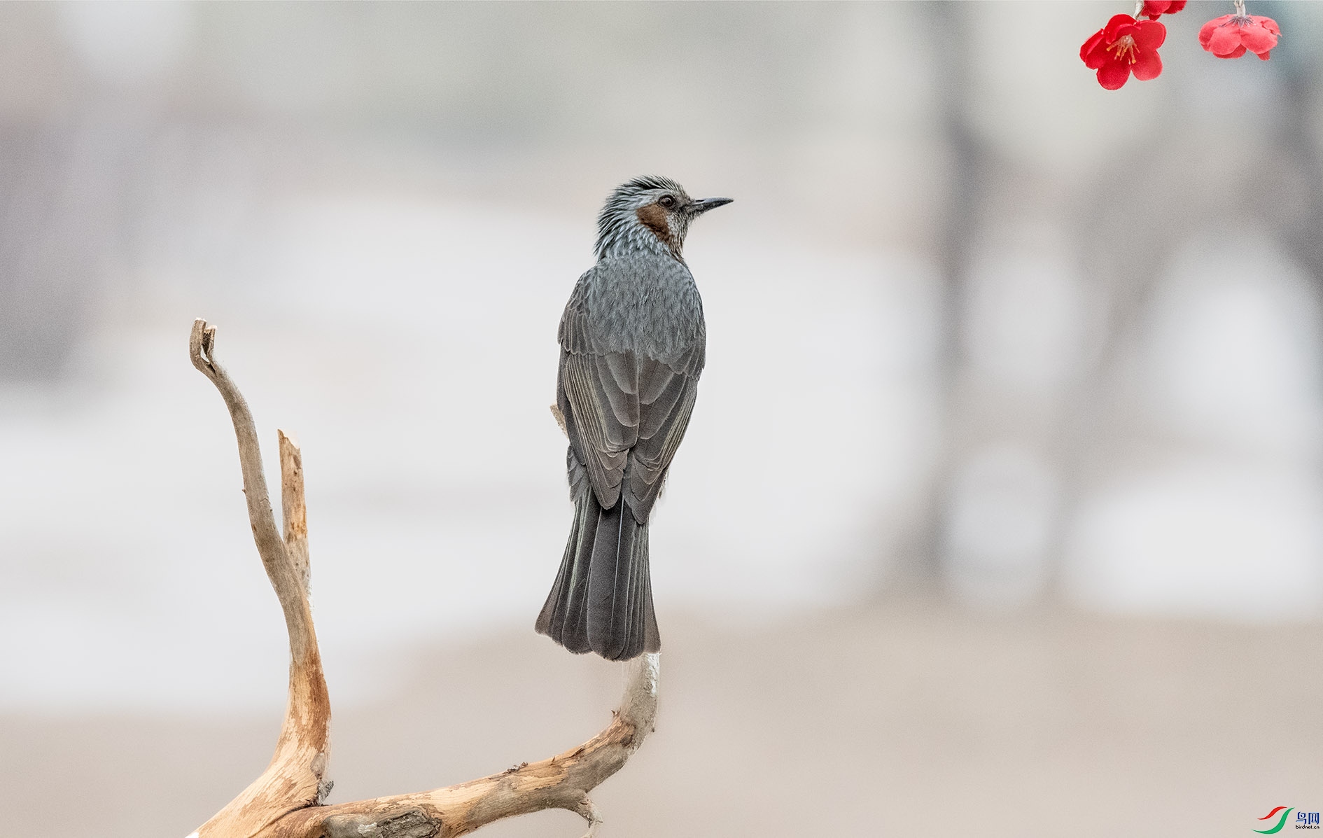 DSC_3480 ����.jpg