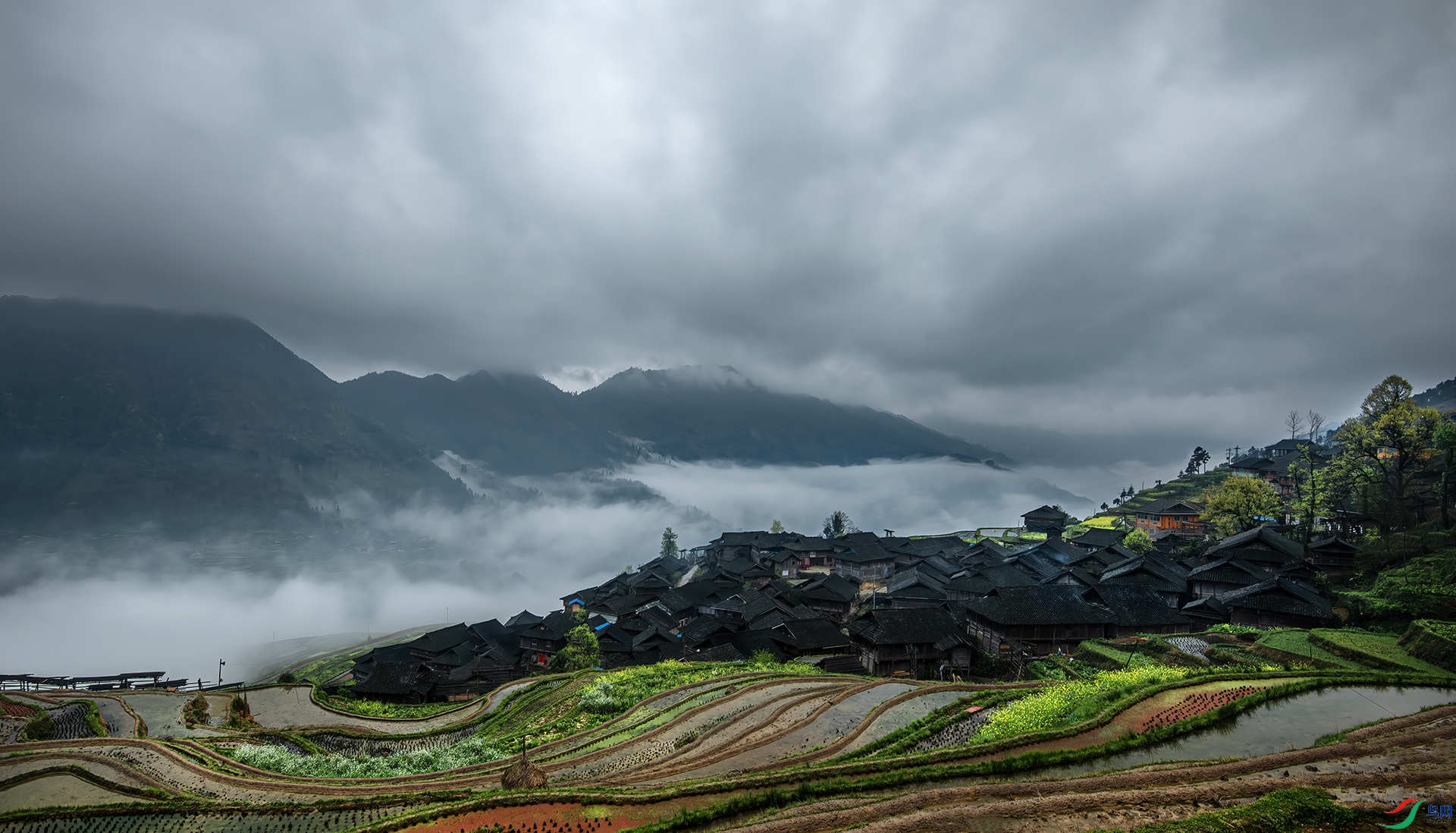 _DSC2103- ����.jpg